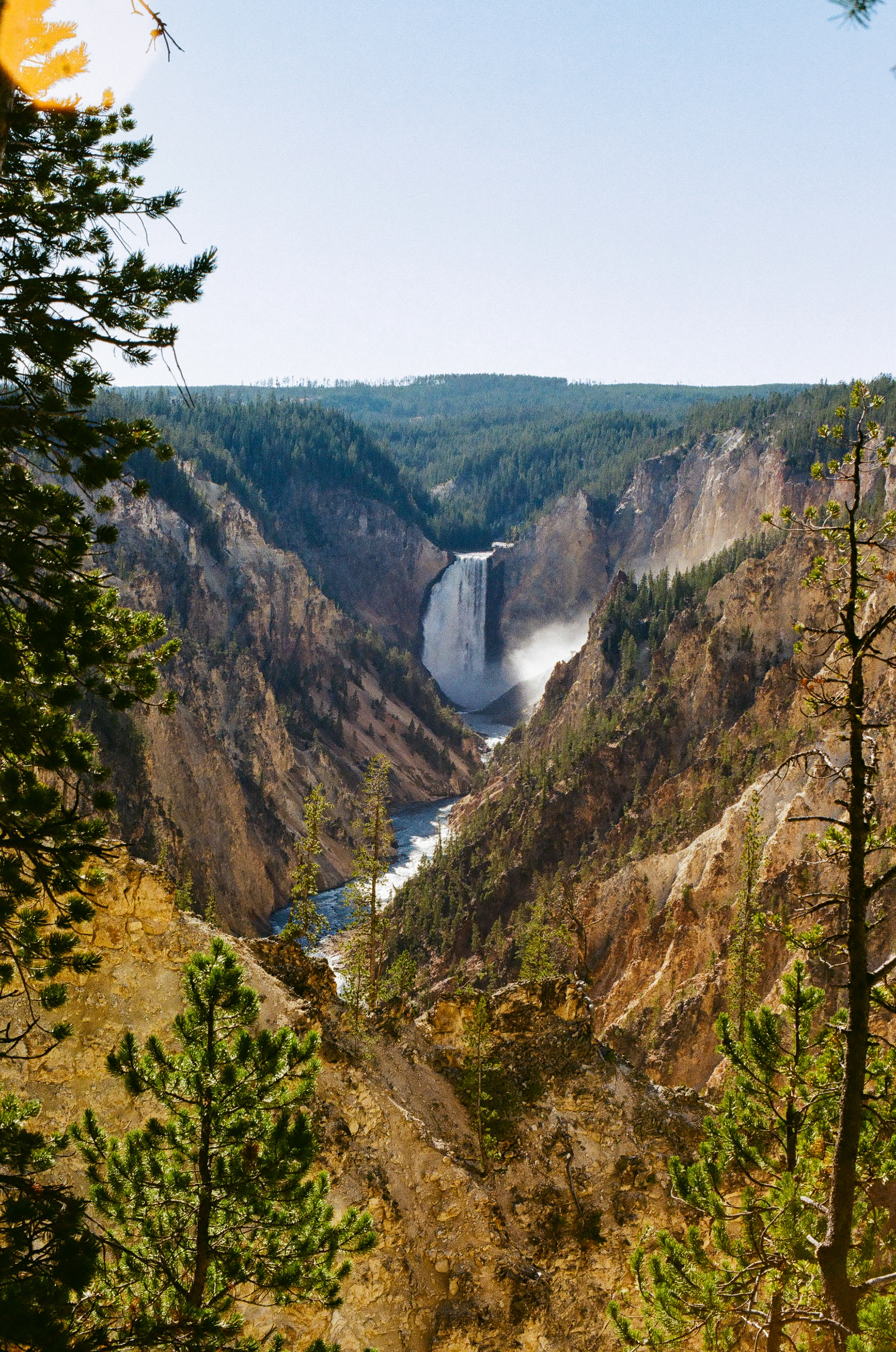 Yellowstone National Park / Nikon F2 /Kodak Gold 200 Film