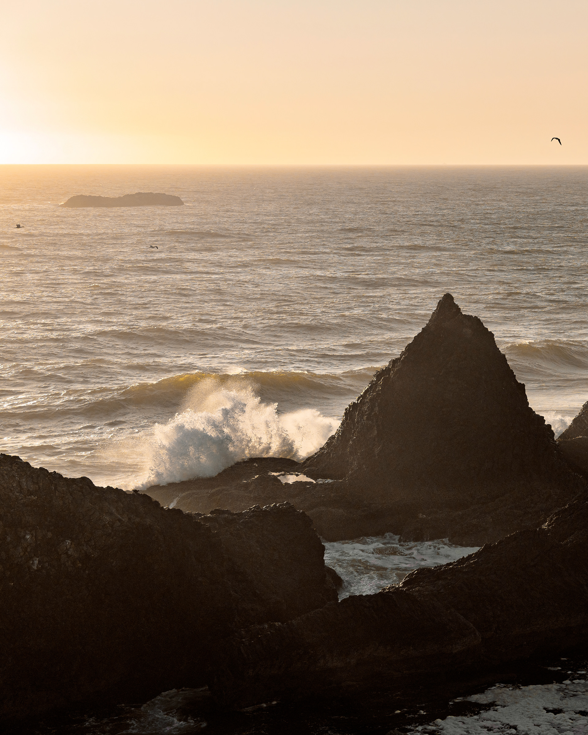 Seal Rock, OR / Sony A7IV