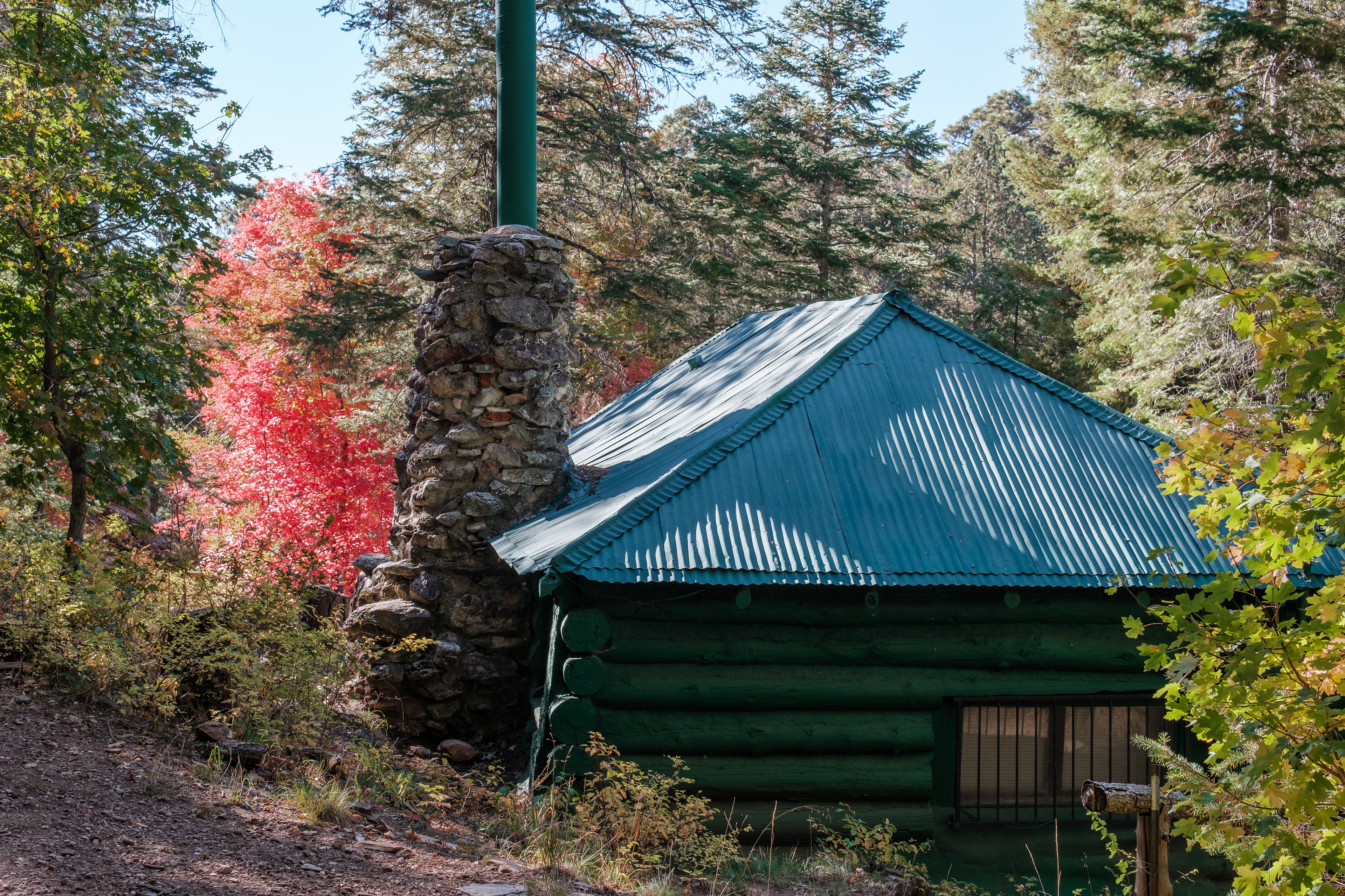 Fujifilm X-T4 / Mt. Lemmon, AZ