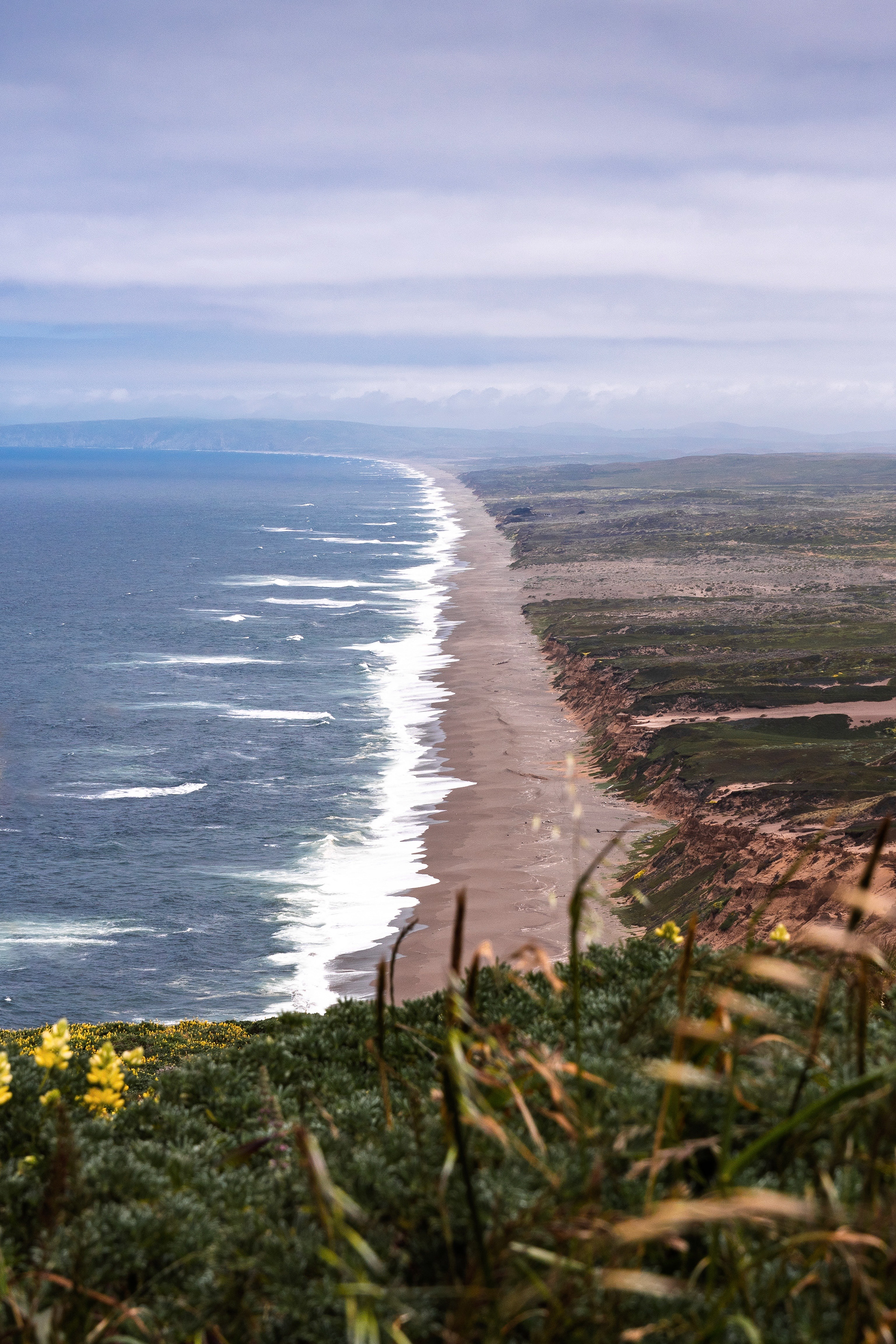 Point Reyes, CA / Sony A7IV