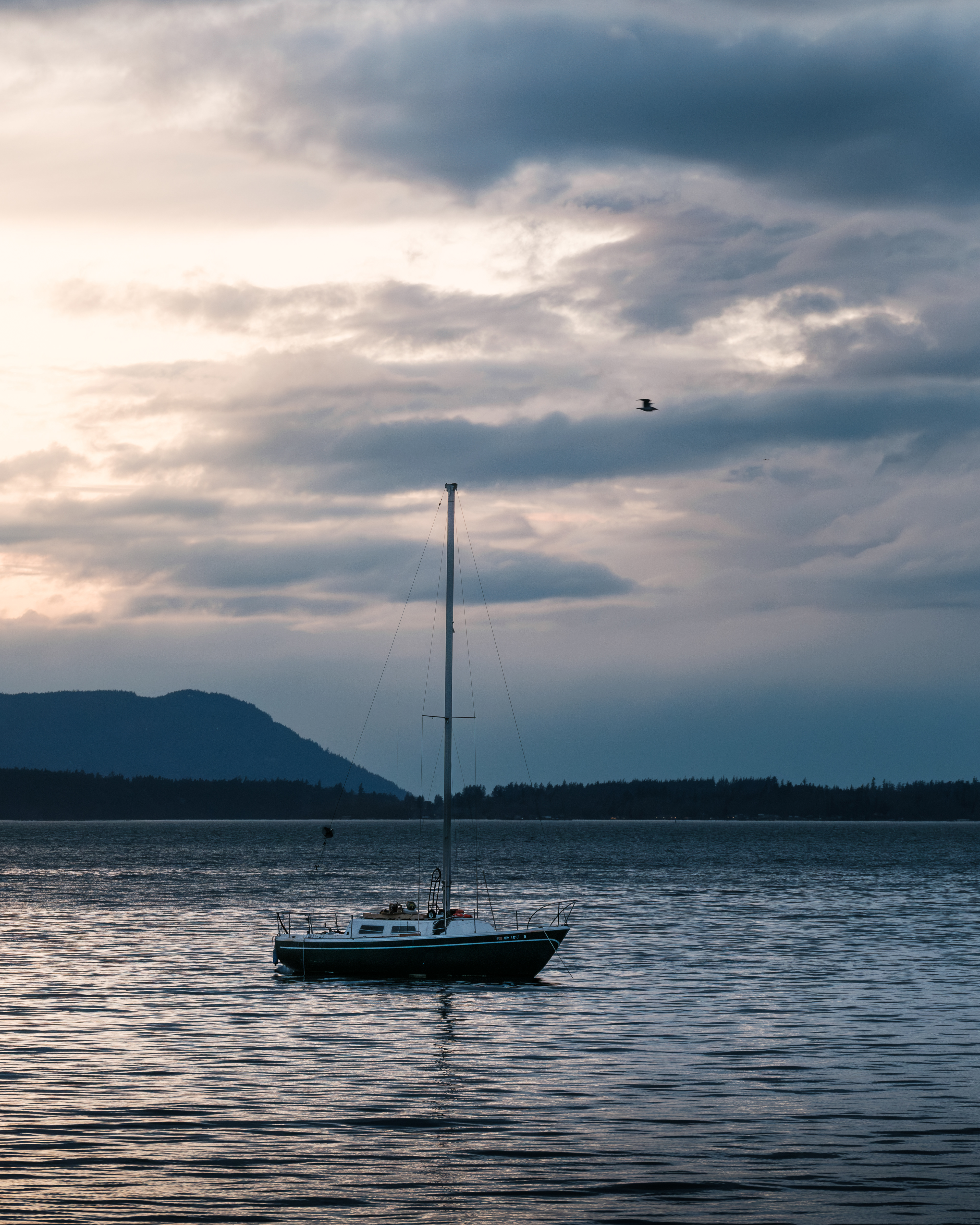 Bellingham, Washington / Fujifilm X-T4