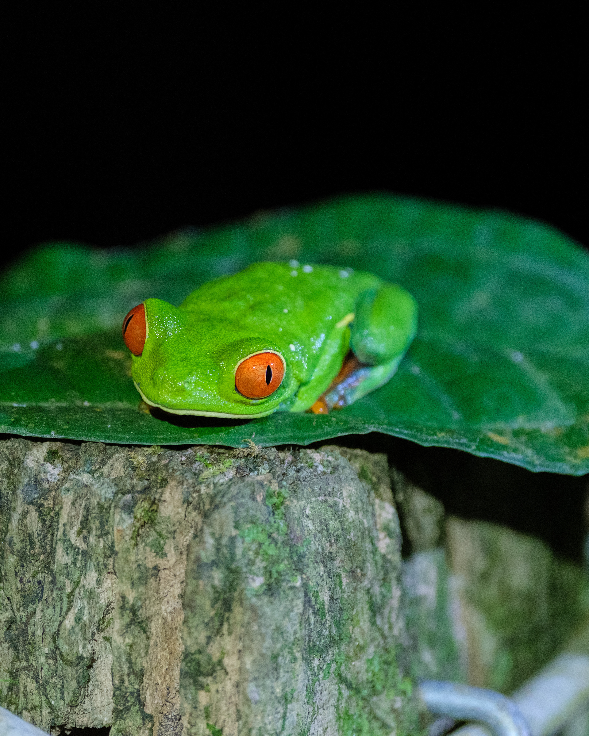 La Fortuna, Costa Rica