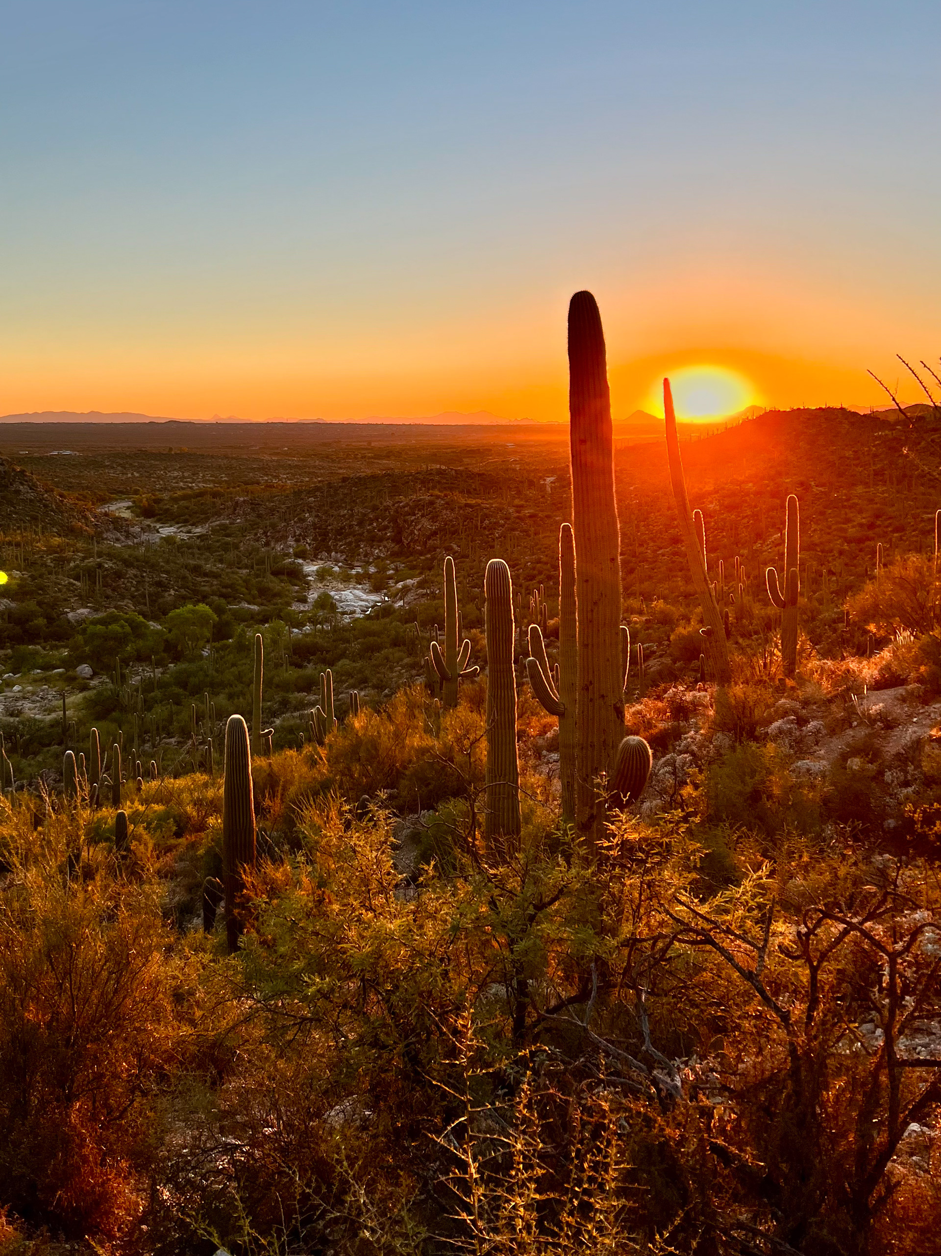 iPhone 11 Pro / Tanque Verde Falls