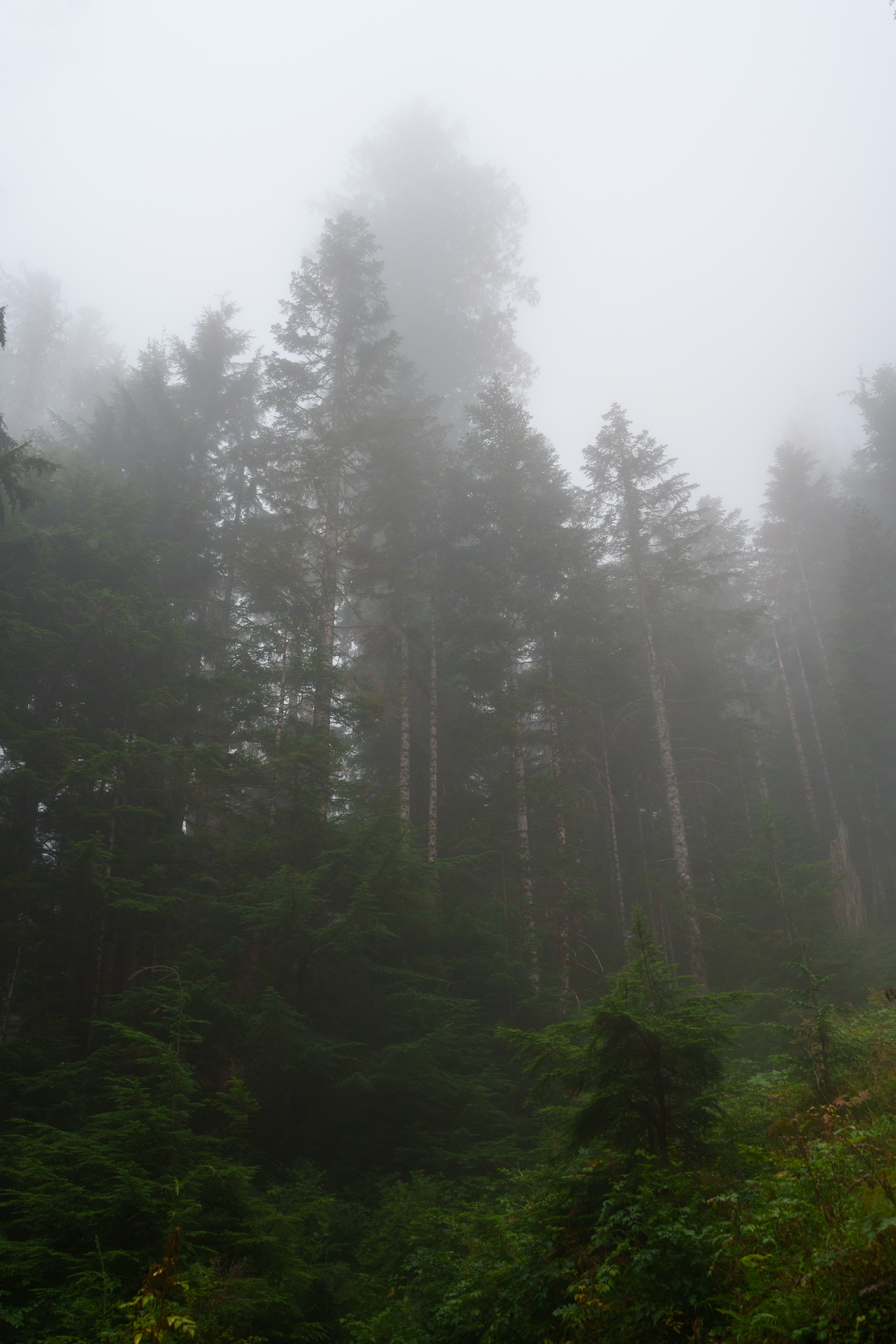 Lake 22, WA, USA