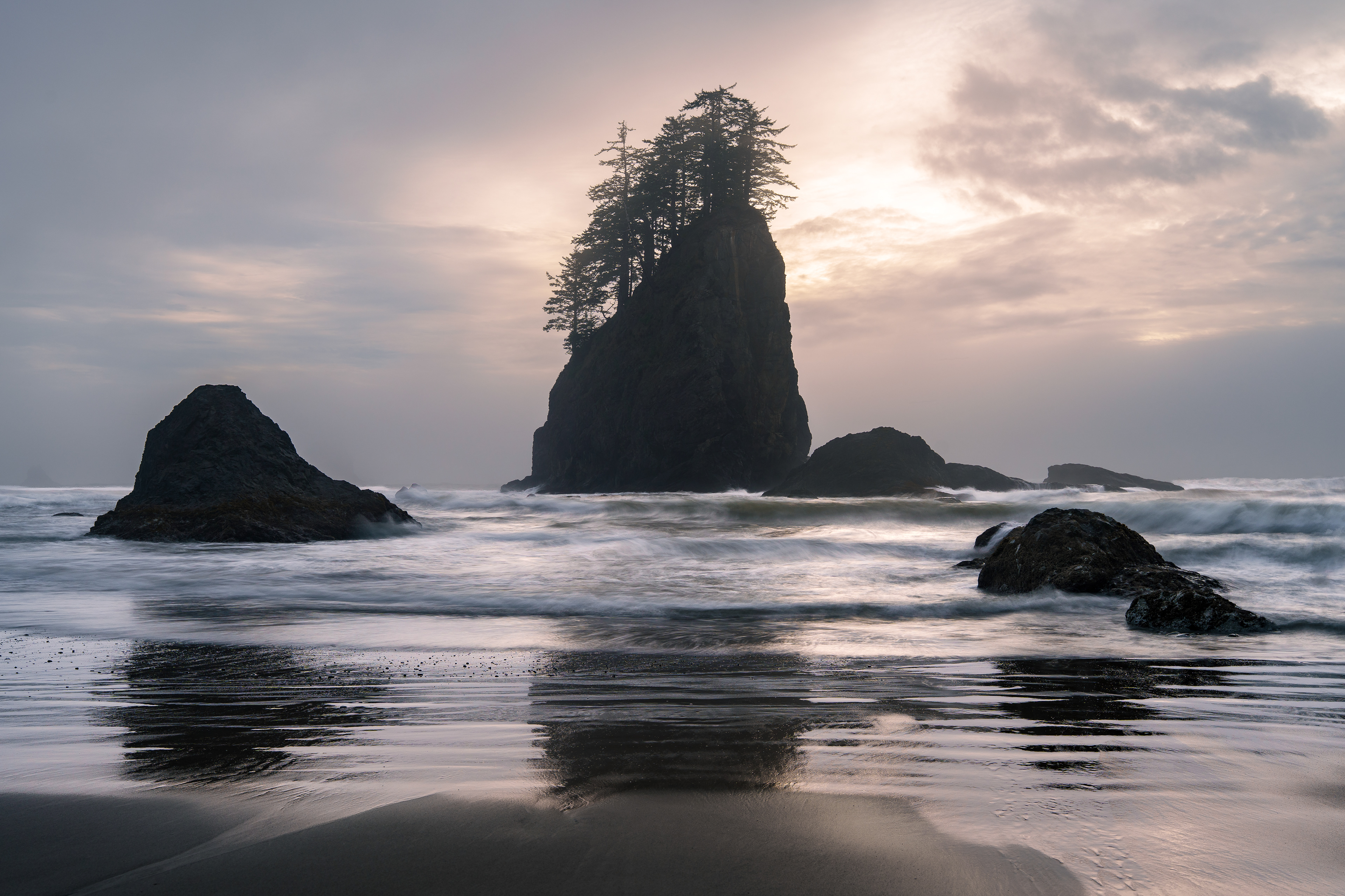 Olympic National Park, WA, USA