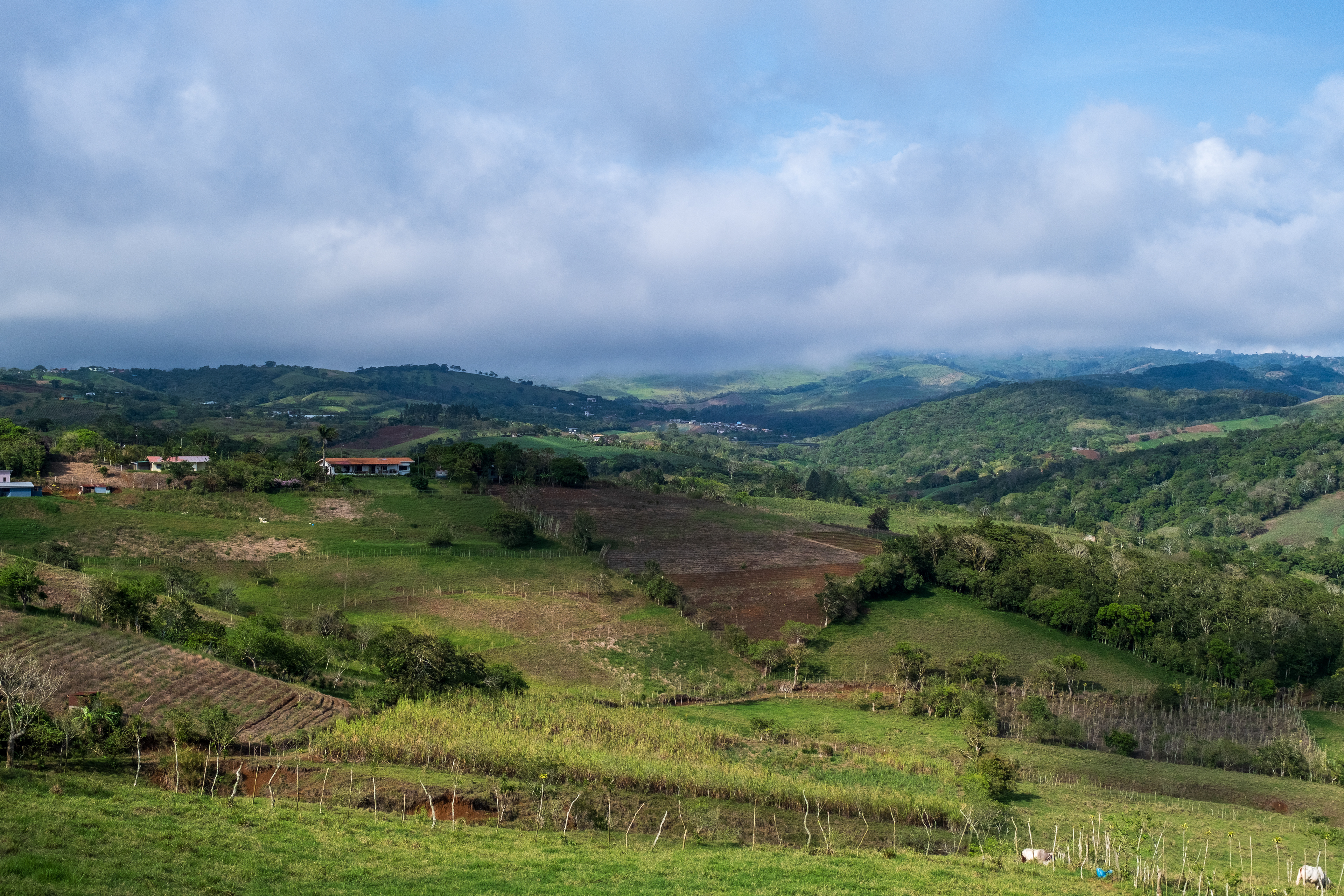 Fujifilm X-T4 / Fujinon 16-80mm f4