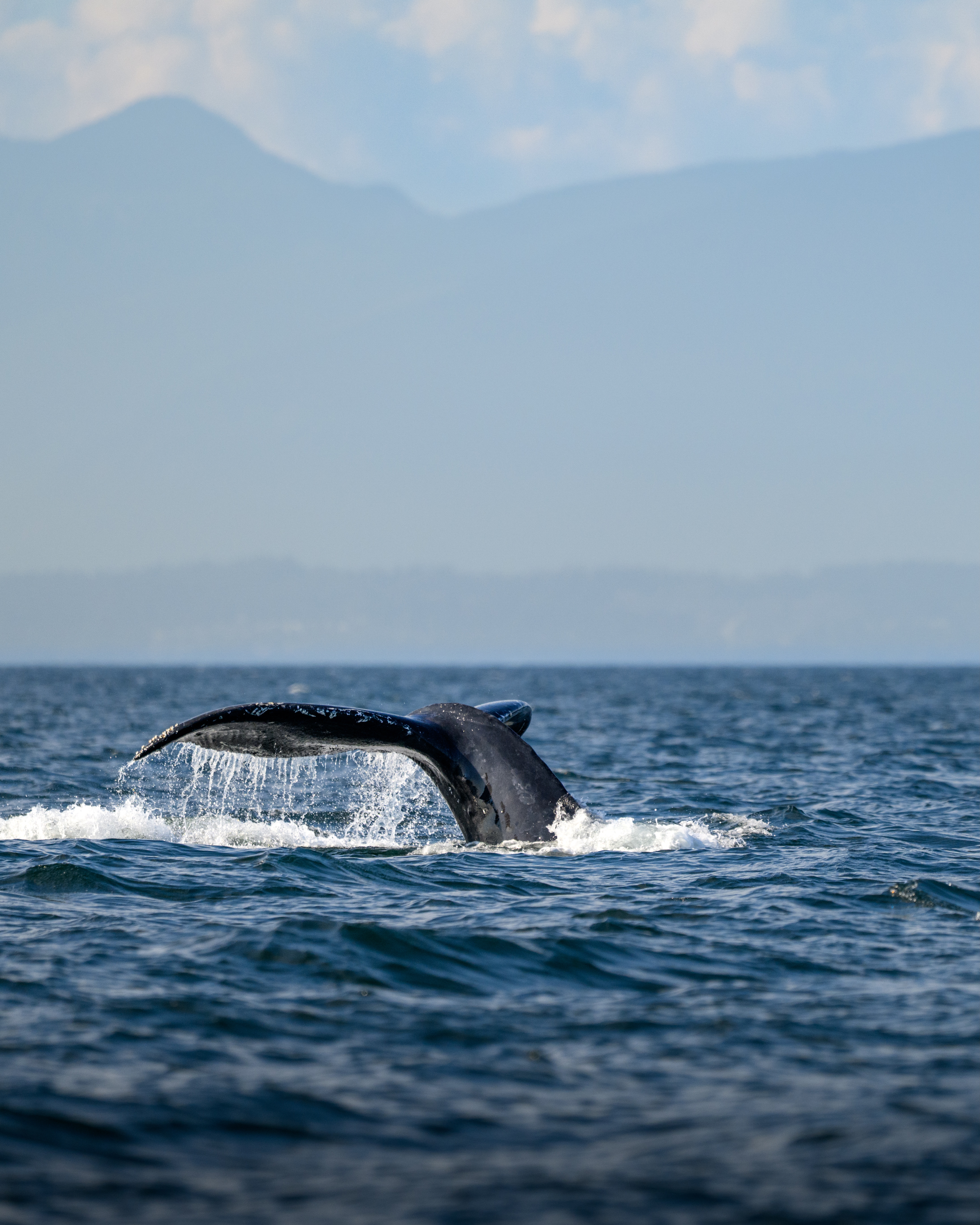 Vancouver Island, BC, Canada