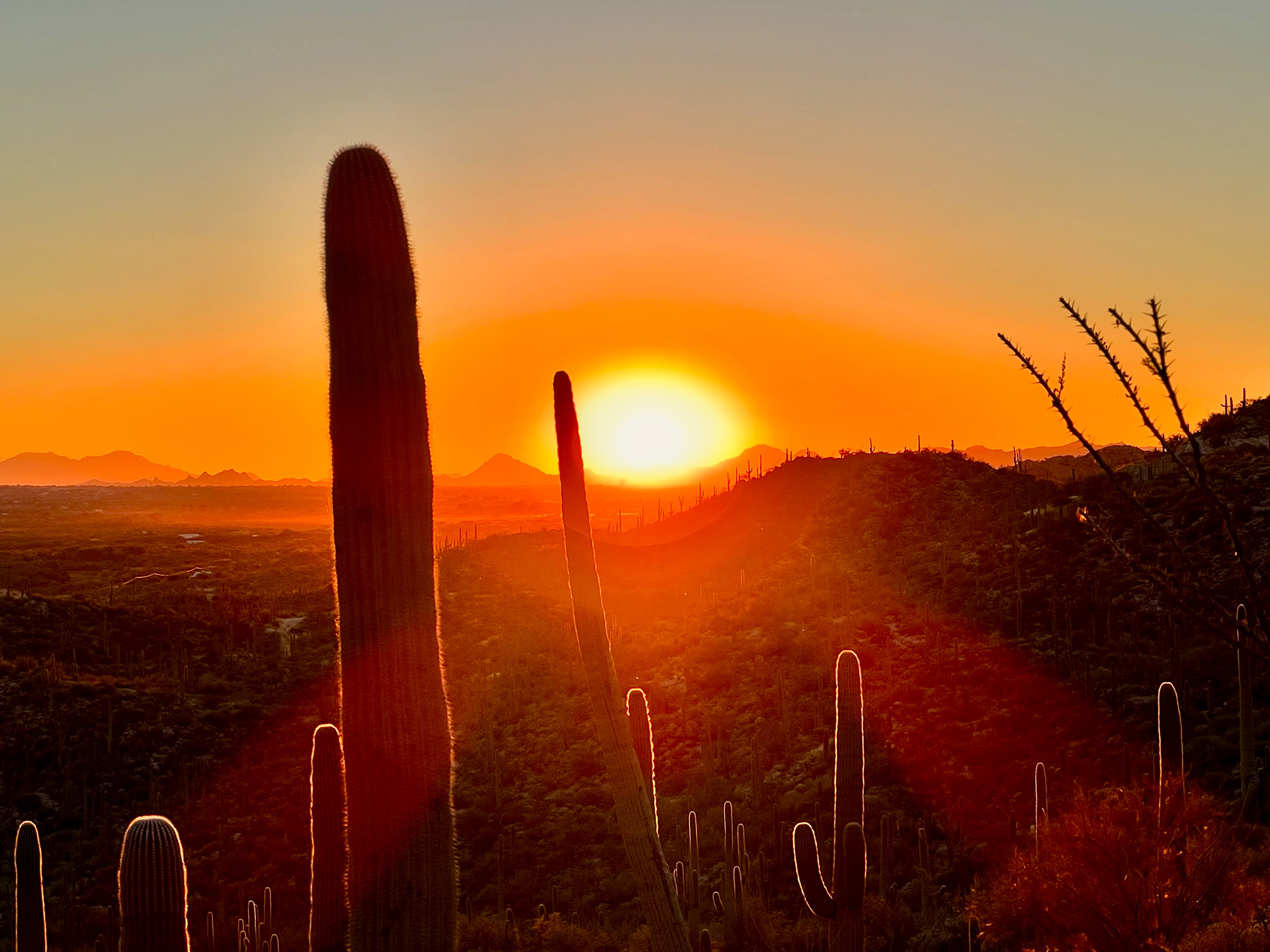 iPhone 11 Pro / Tanque Verde Falls
