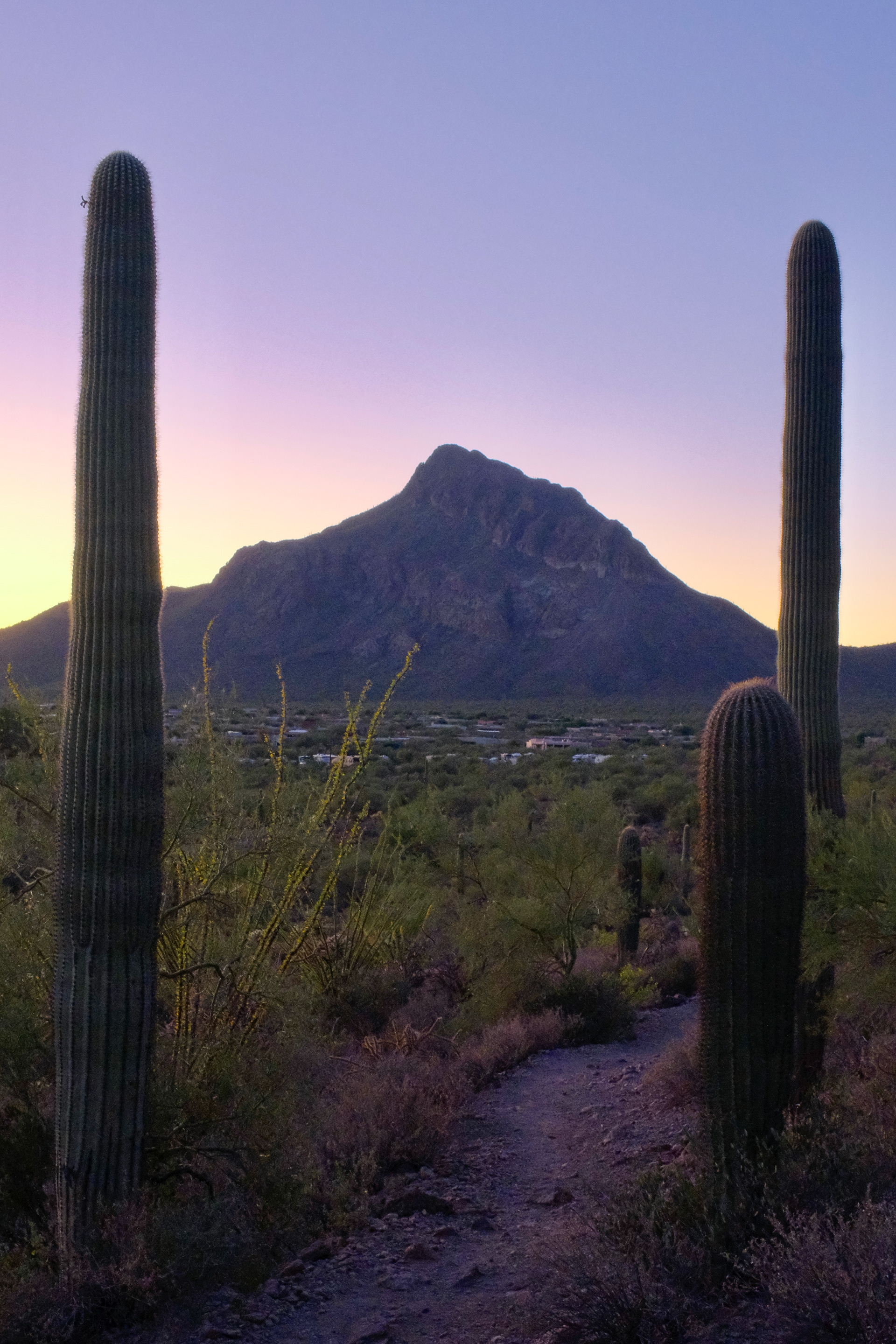 Fujifilm X-T4 / Gate’s Pass, Tucson, AZ