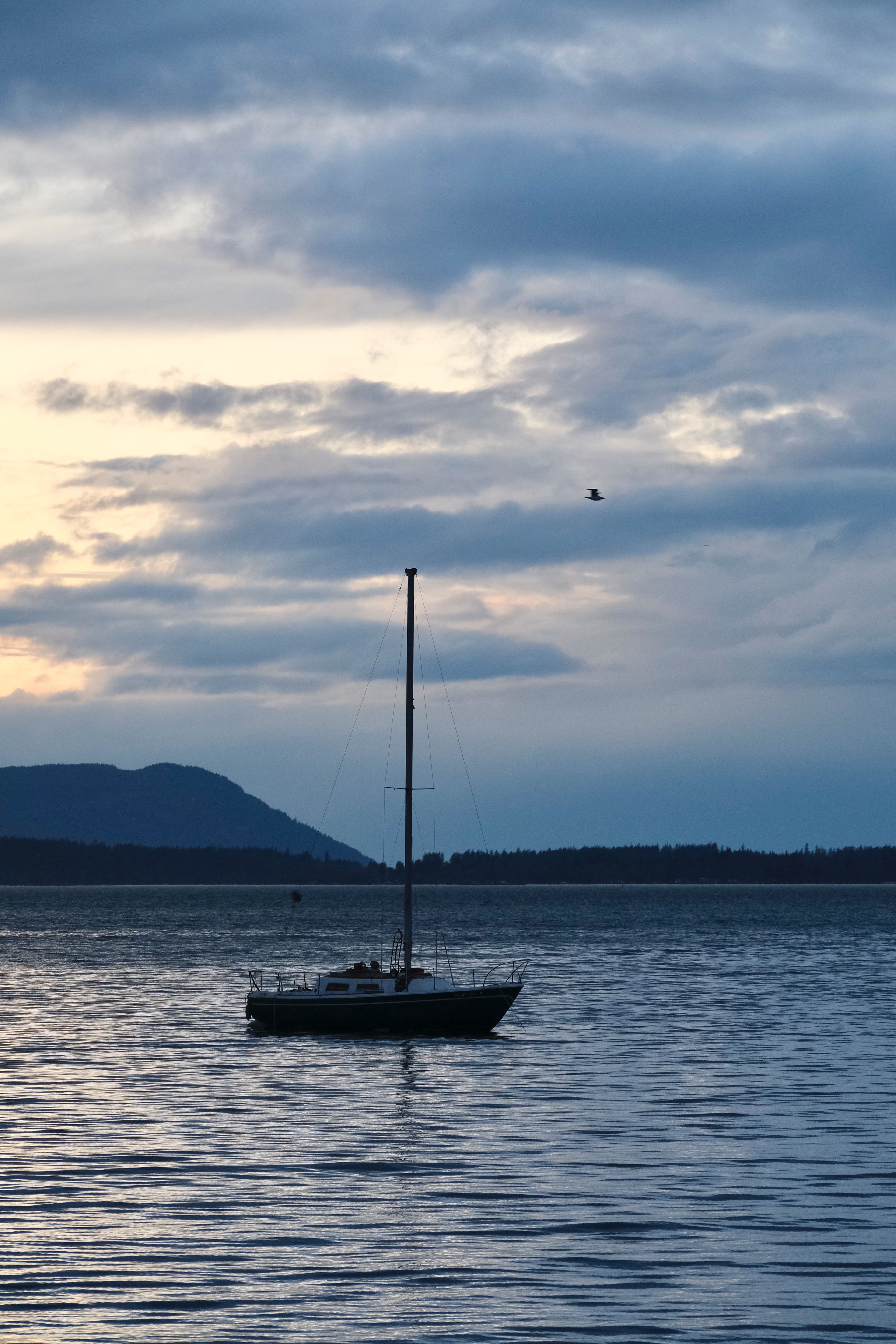 Fujifilm XT-4 / Boulevard Park, Bellingham