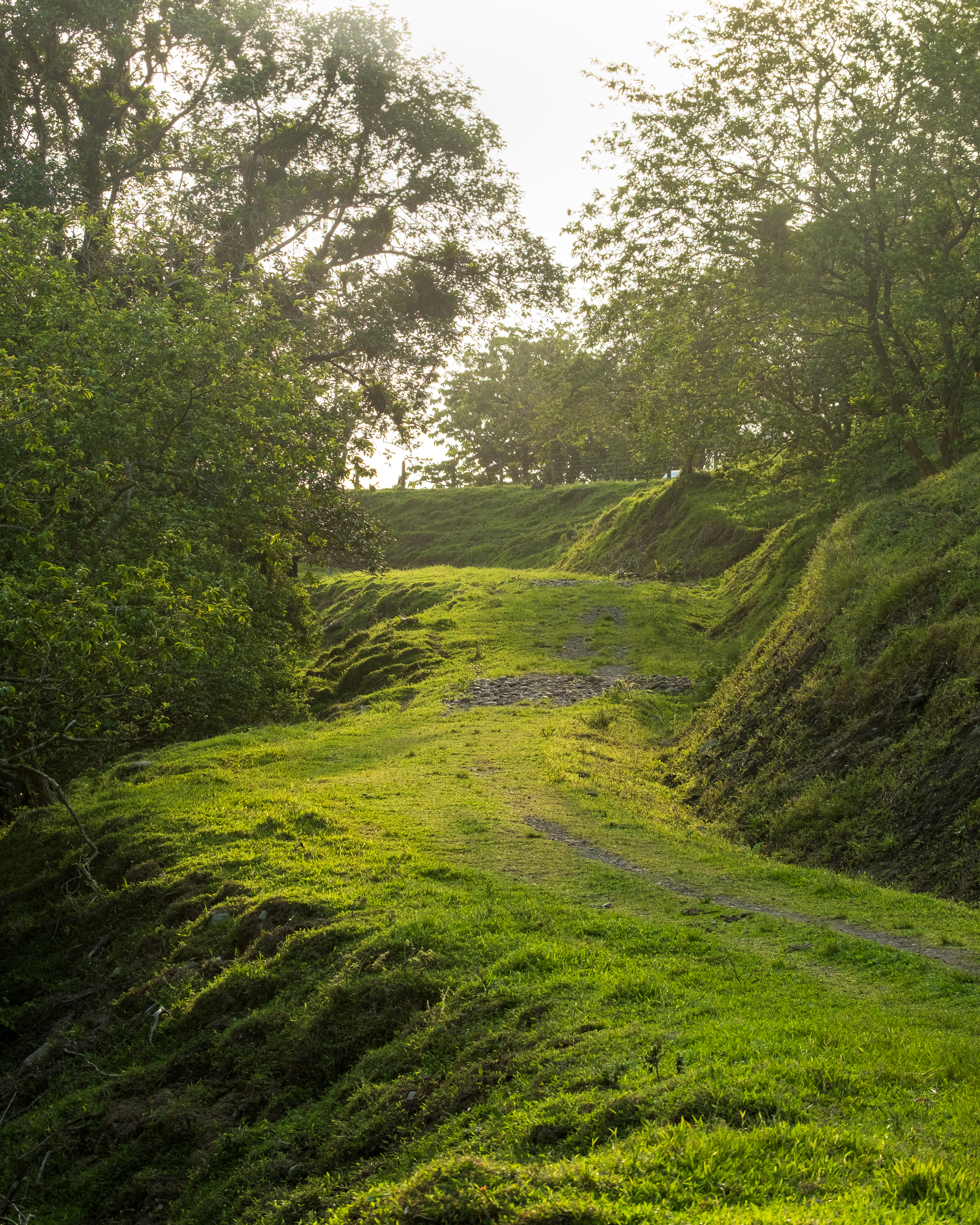Fujifilm X-T4 / Fujinon 16-80mm f4