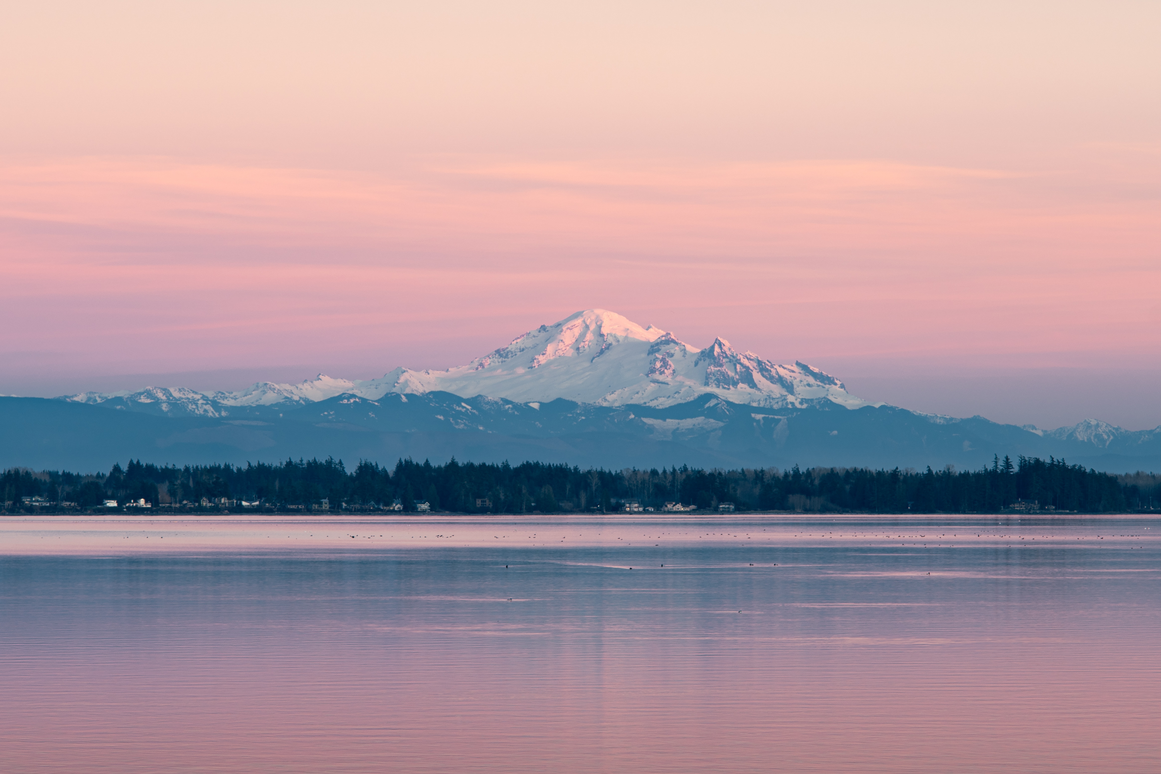 Mt. Baker from Blaine, WA / Sony A7IV