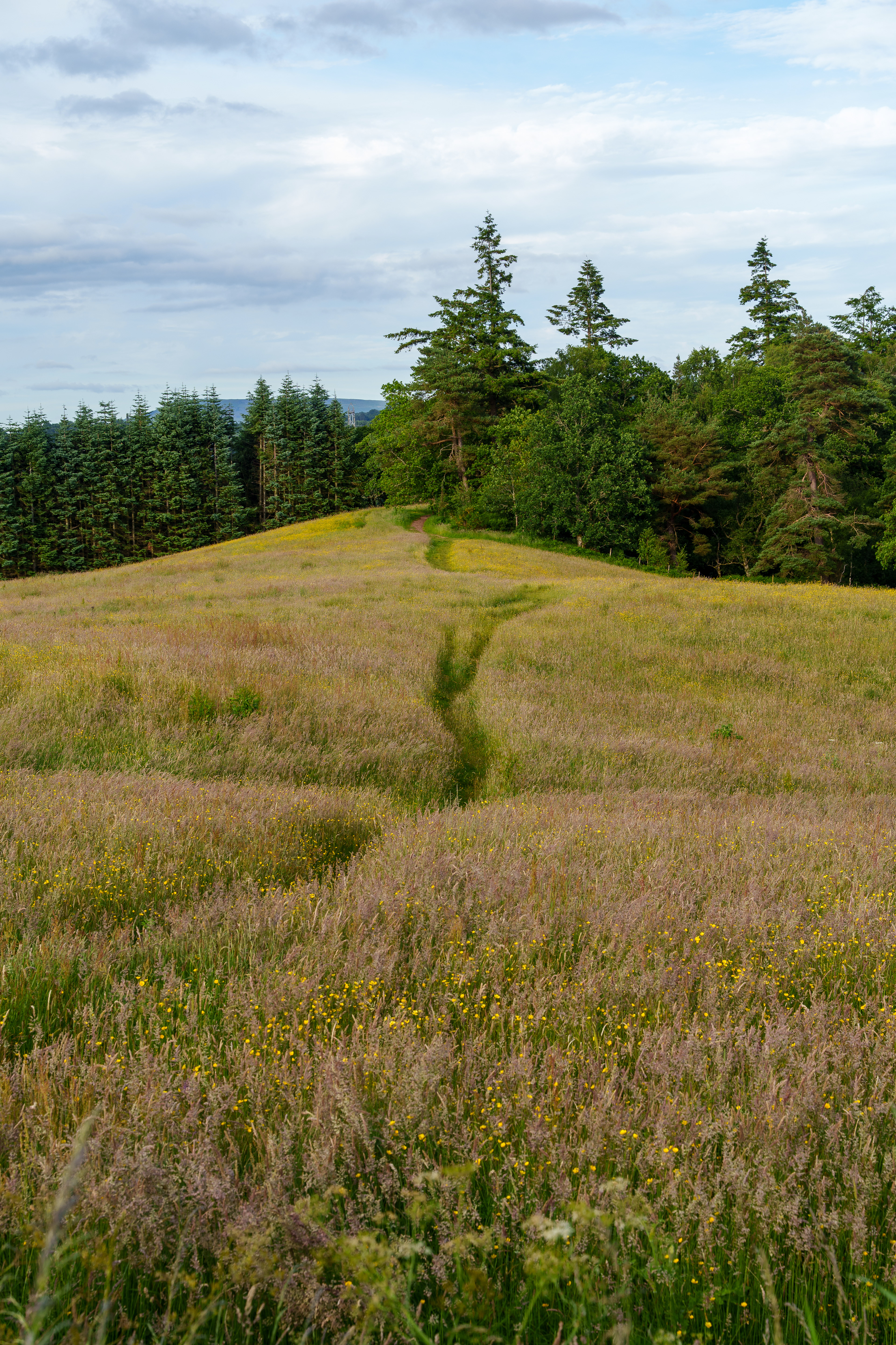 Near Glasgow, Scotland