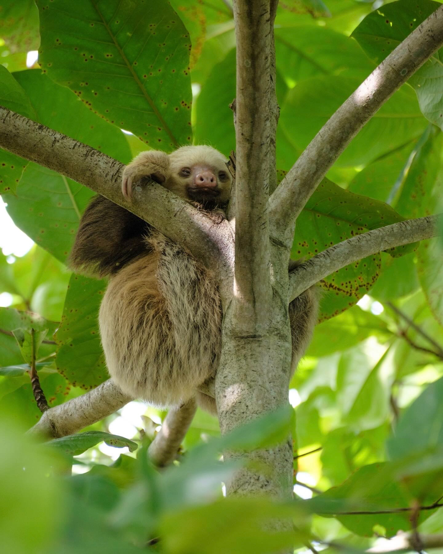 La Fortuna, Costa Rica