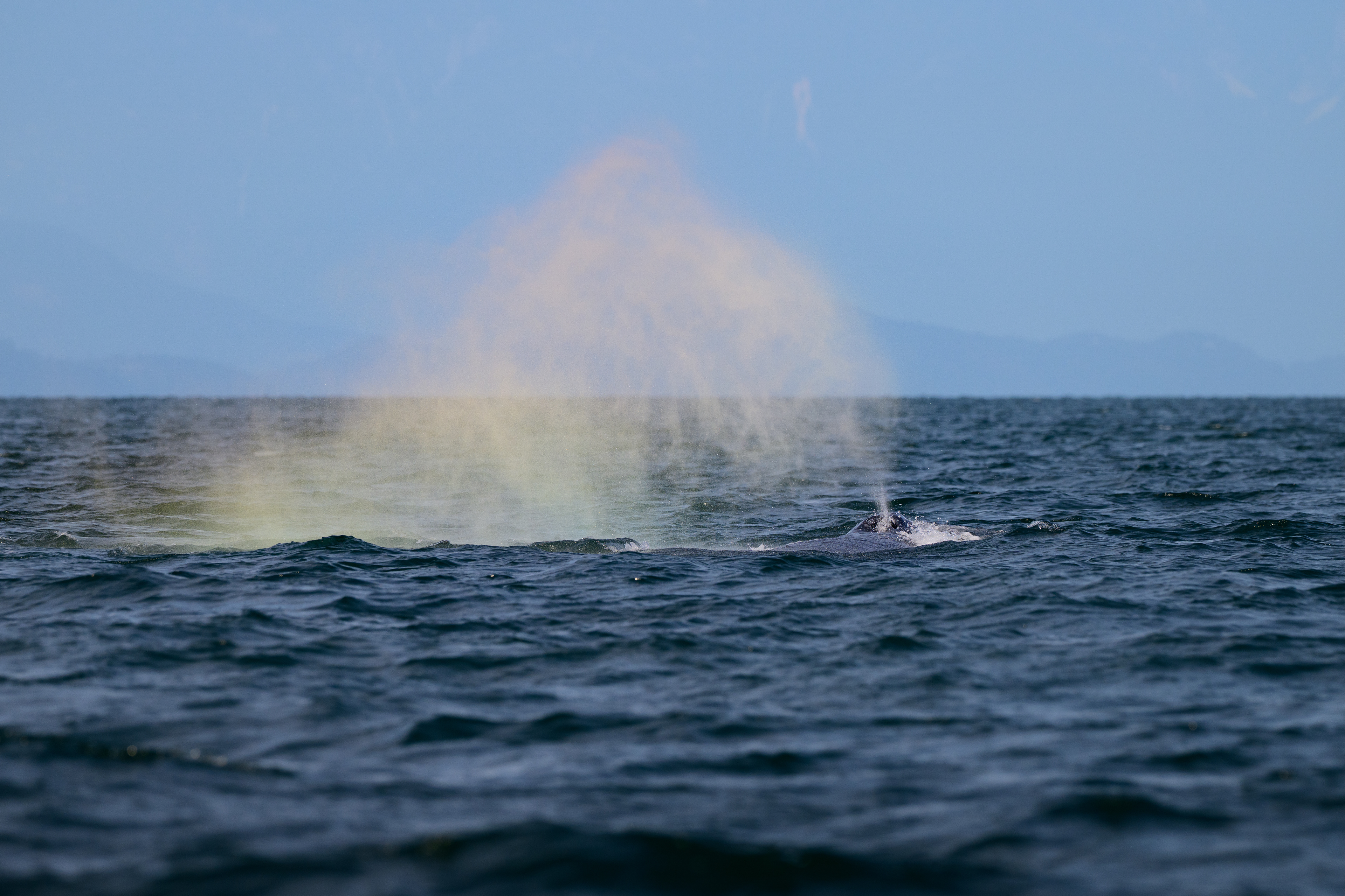 Vancouver Island, BC, Canada