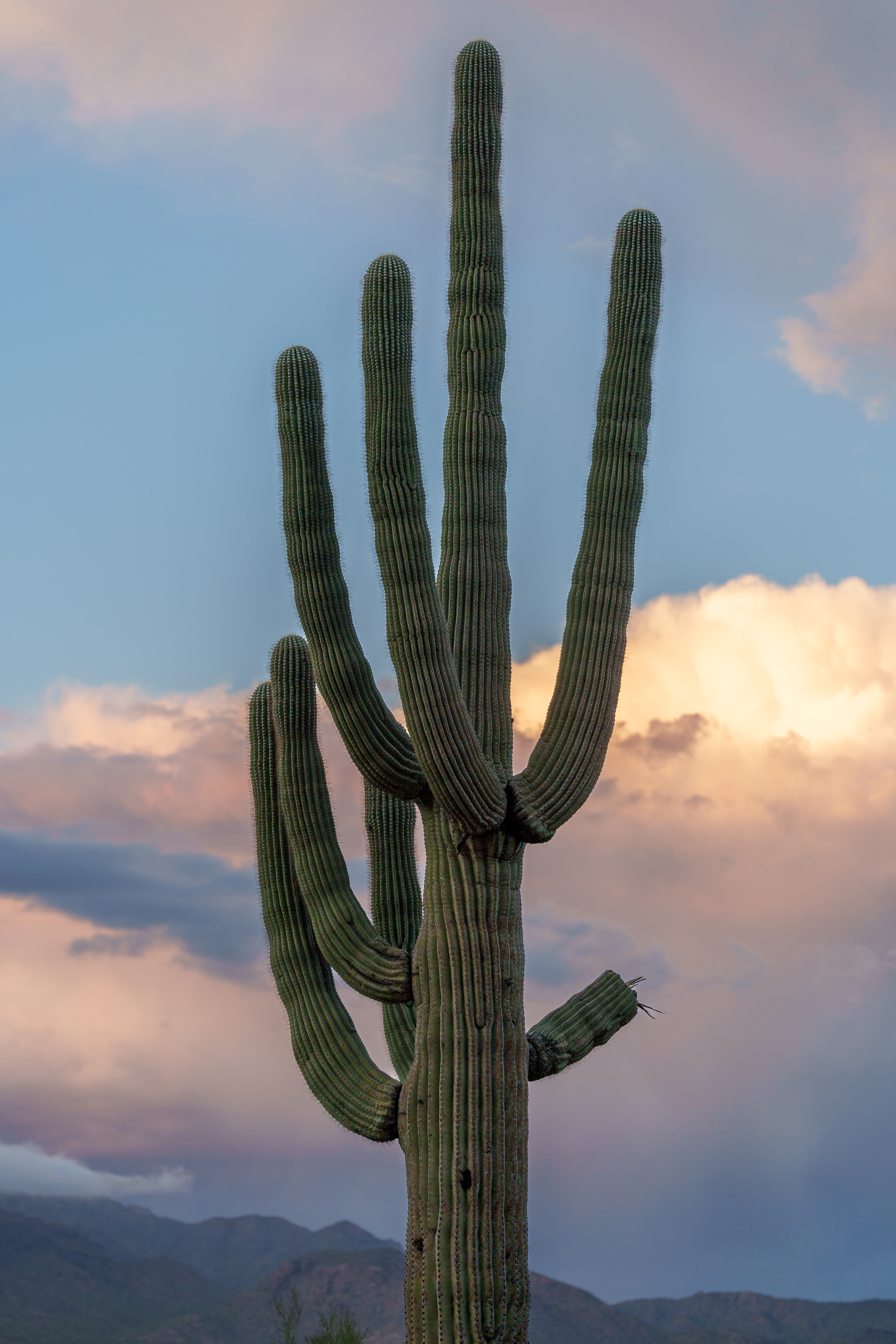 Sony A7IV / Picacho Peak
