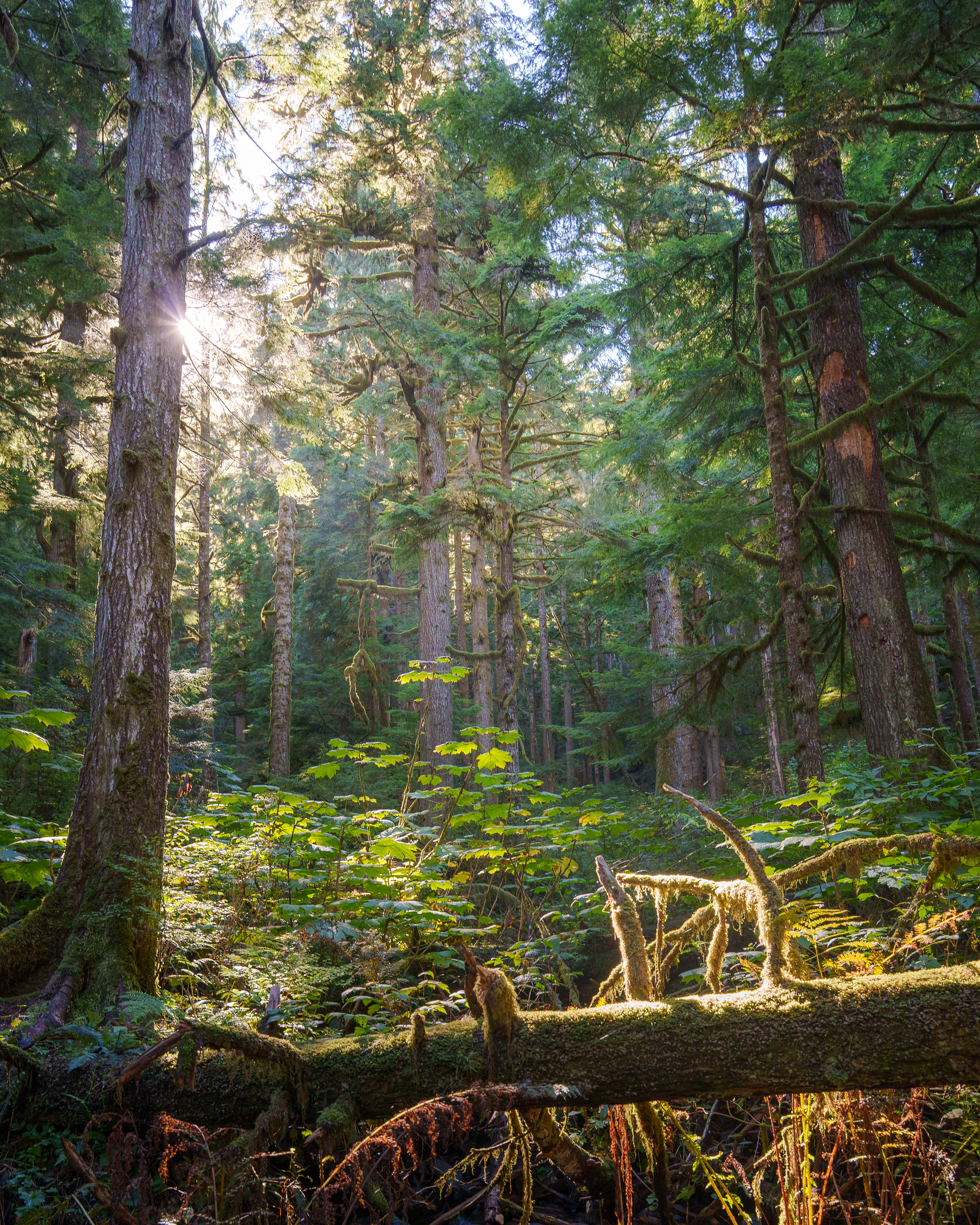 Western WA, USA