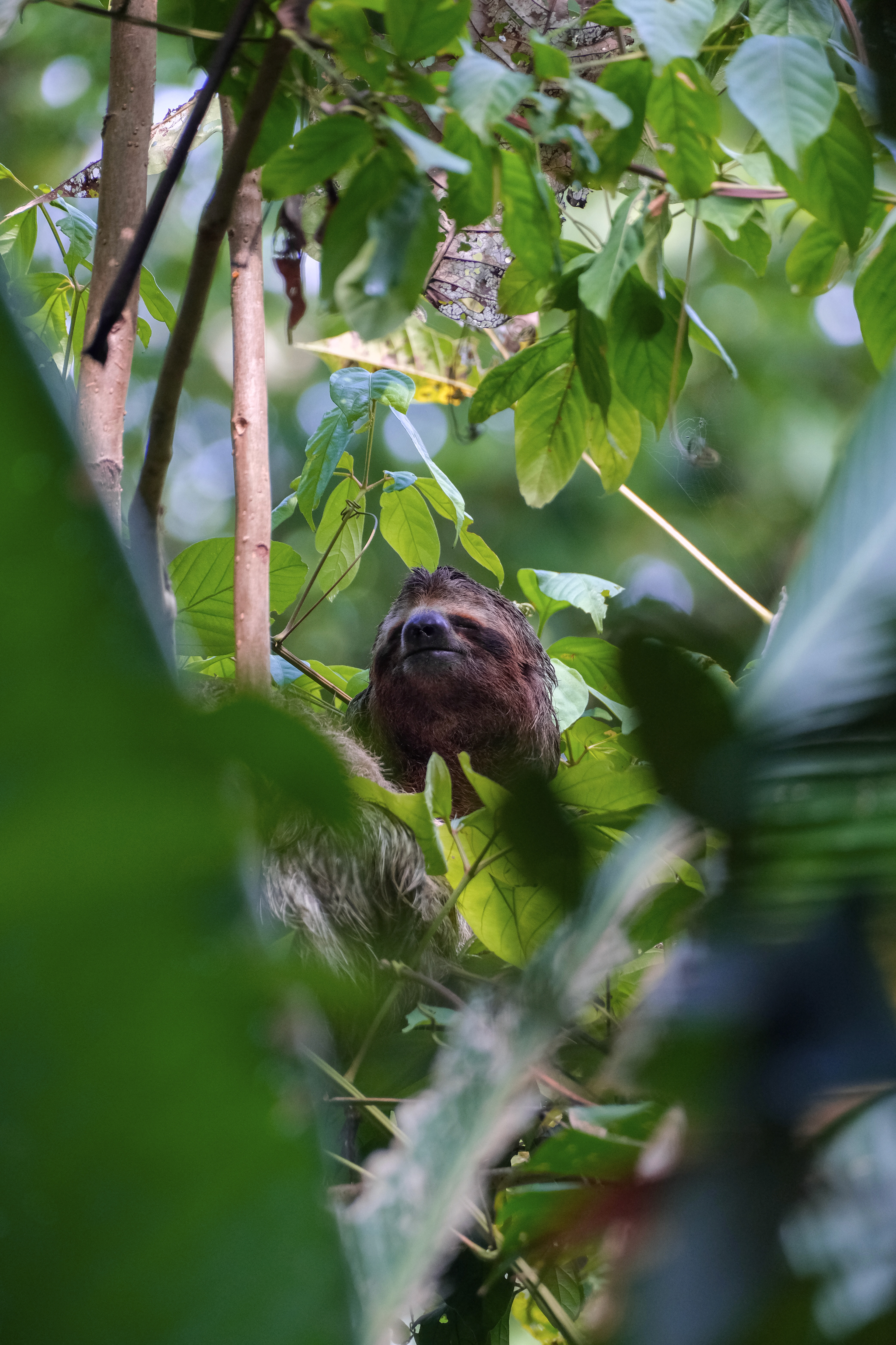 Manuel Antonio National Park, Costa Rica