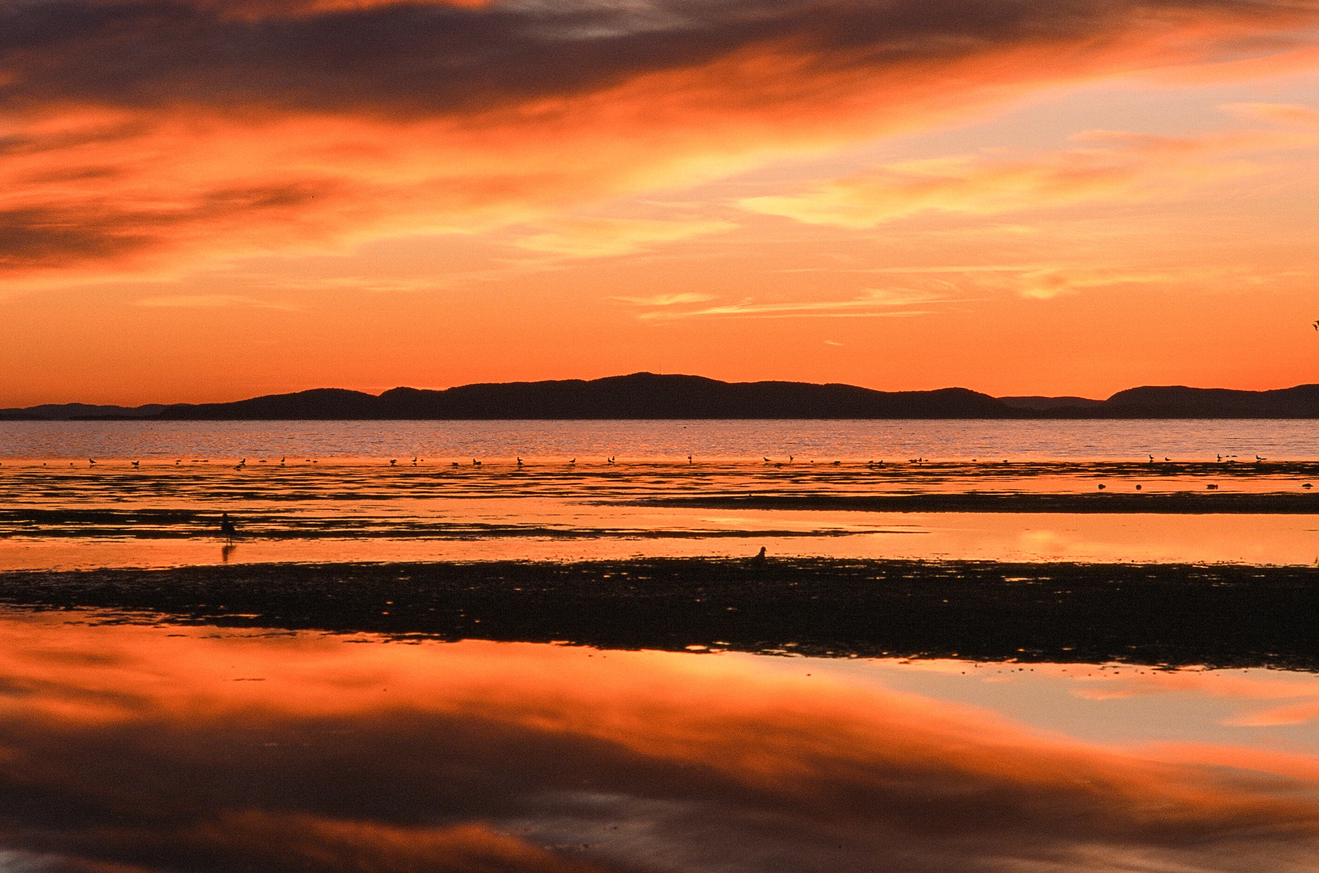 Birch Bay, WA / Nikon F2 / Fujifilm Provia 100 Film