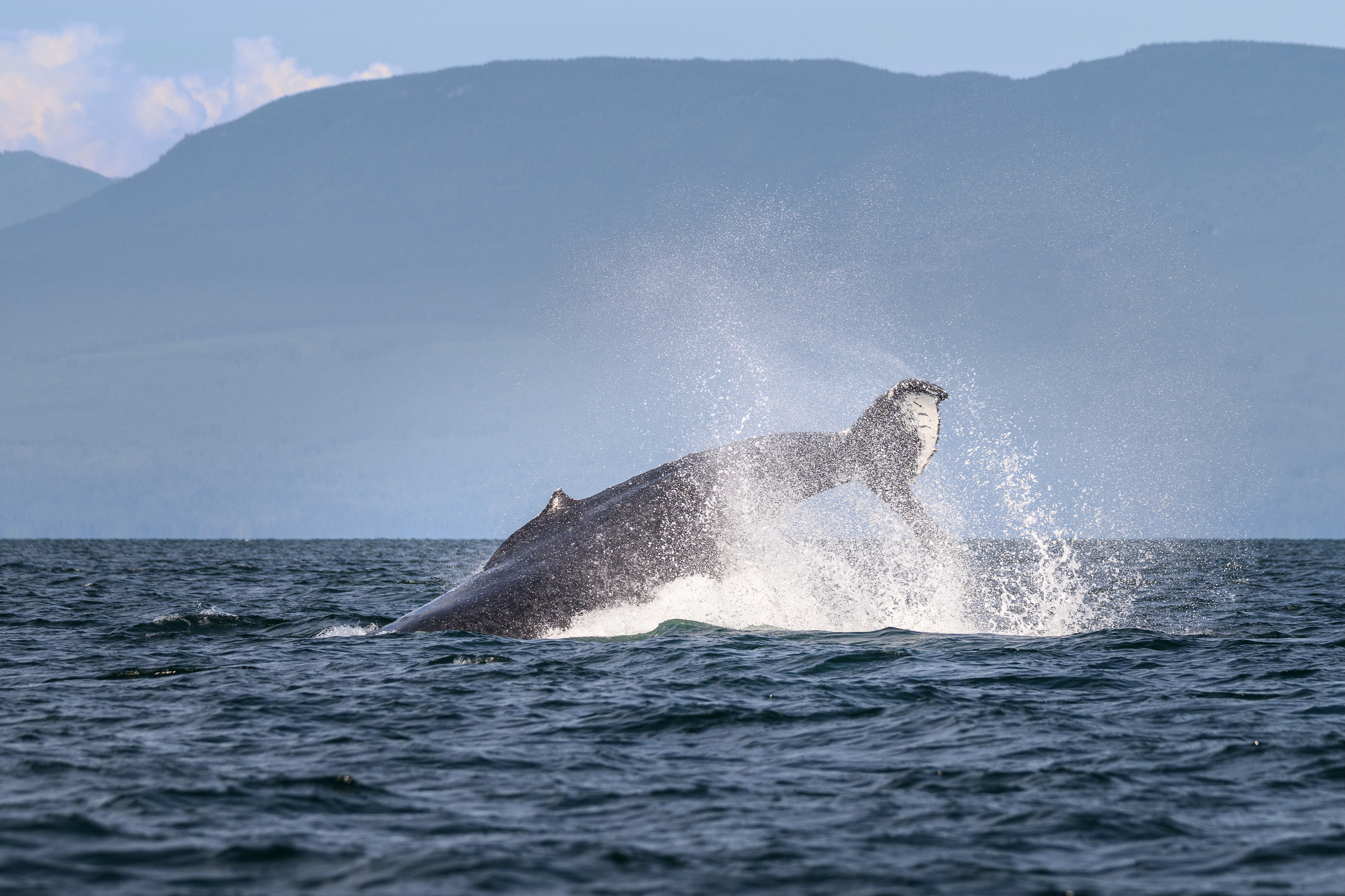 Vancouver Island, BC, Canada