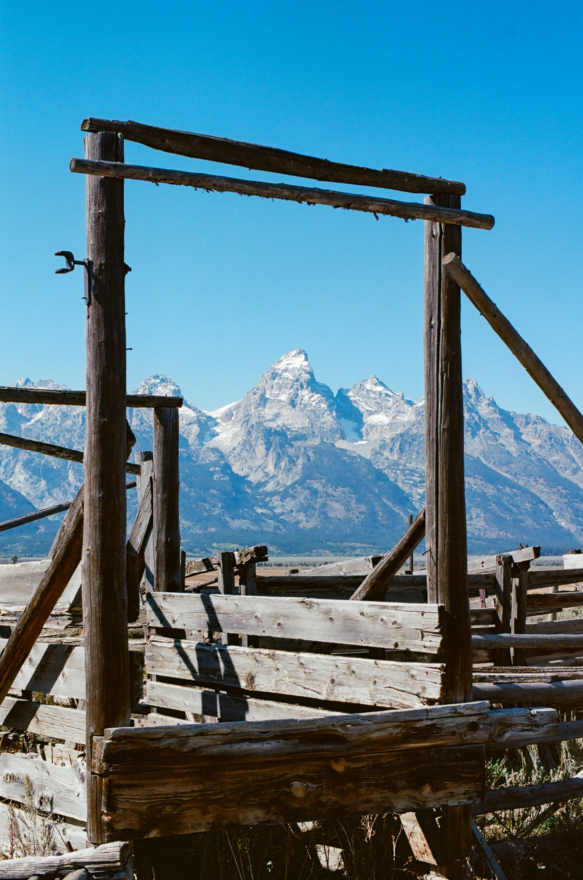 Grand Teton National Park / Nikon F2 / Kodak Ektar Film