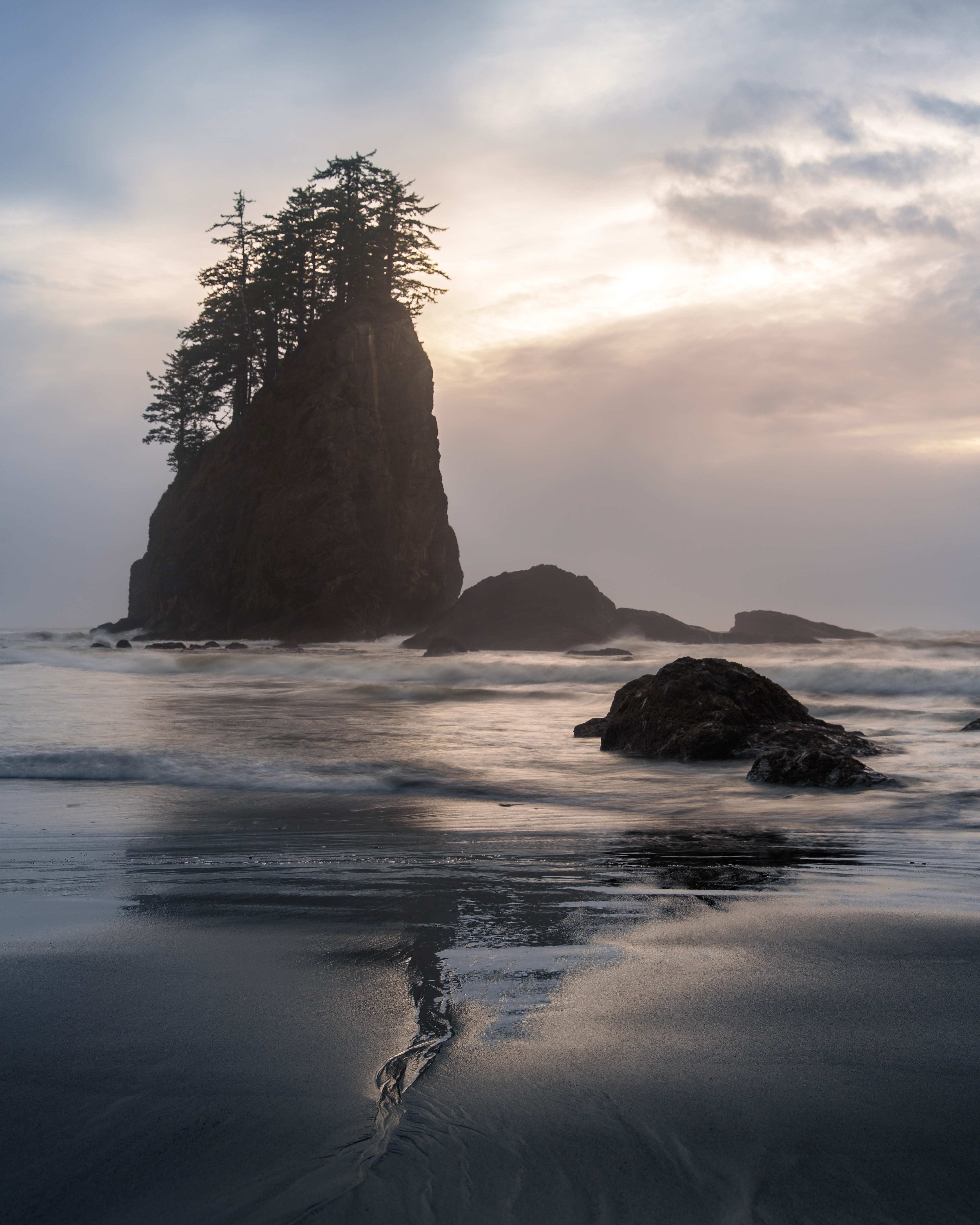 Olympic National Park, WA, USA