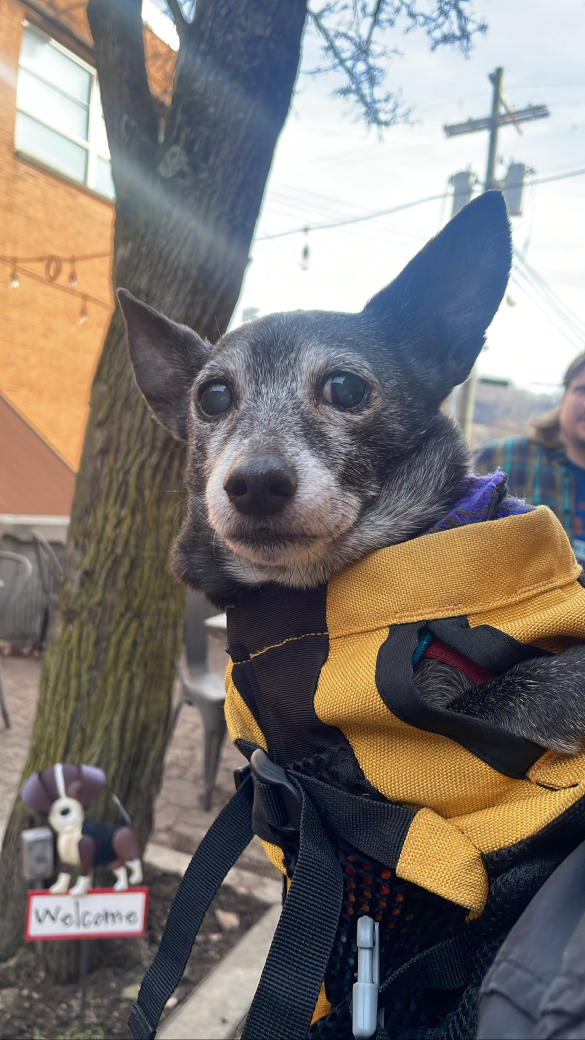 February 5, 2023 - Winter Beer Share @ Leaning Cask