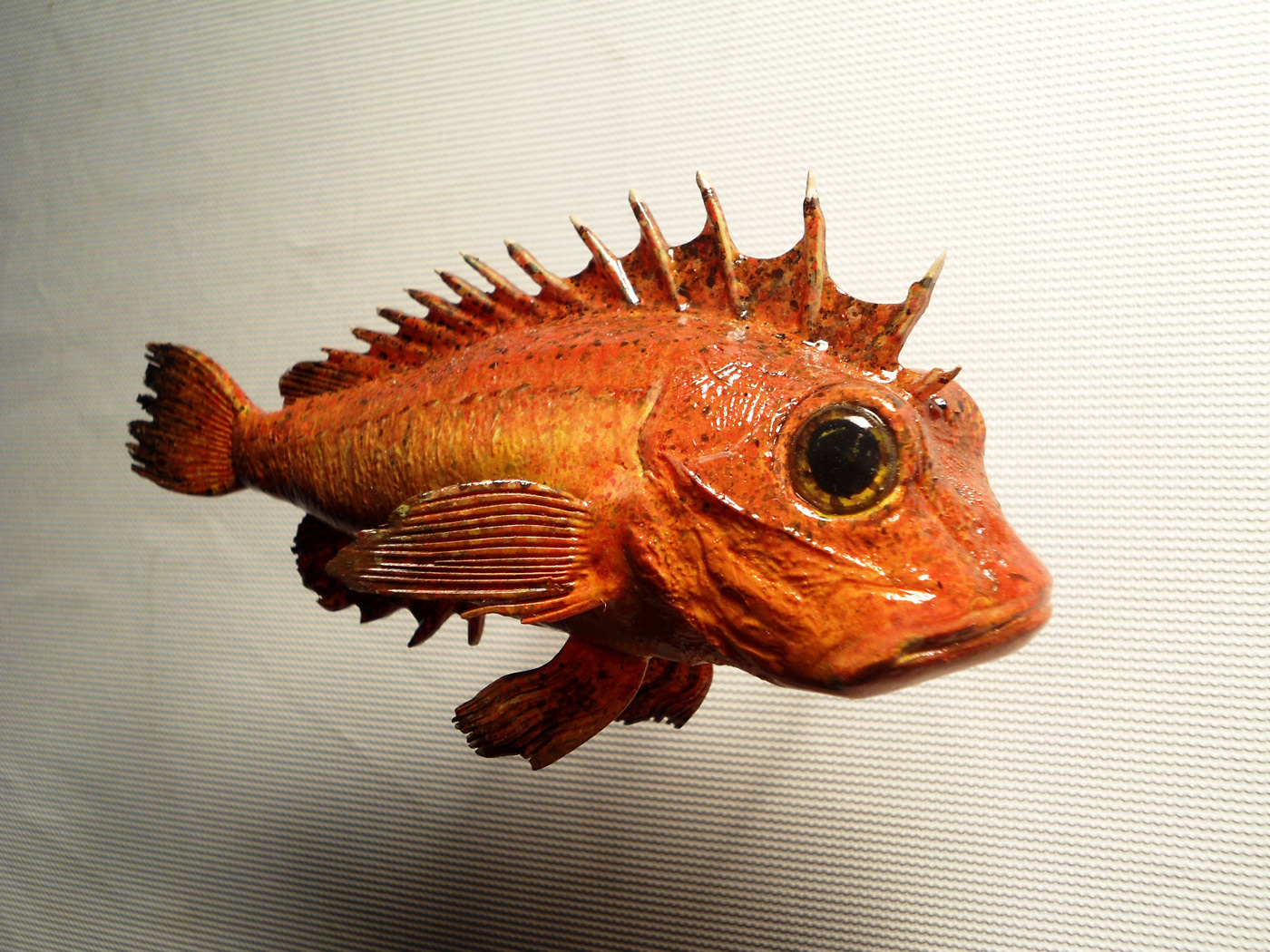 Poisson endémique de la Réunion