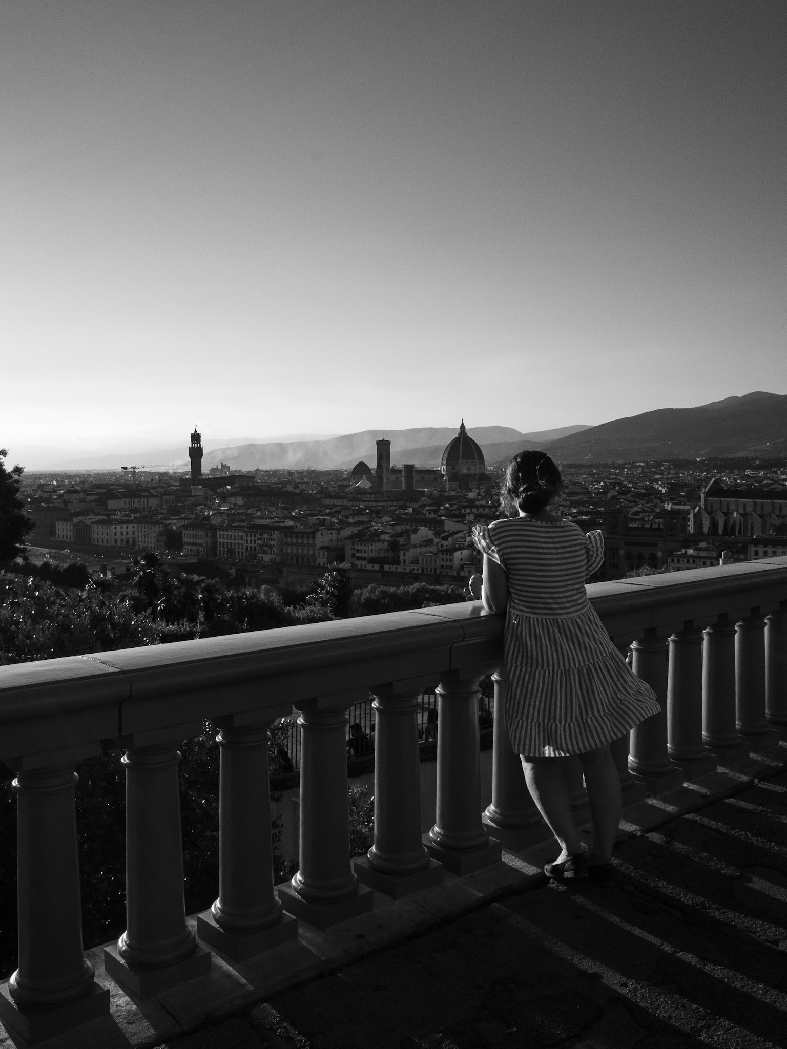 View of Firenze