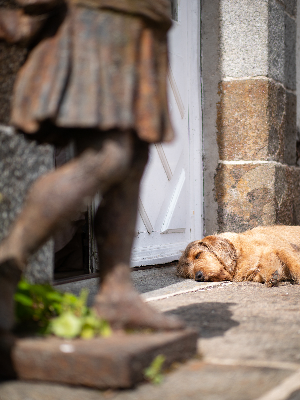 Doormat the Guard Dog