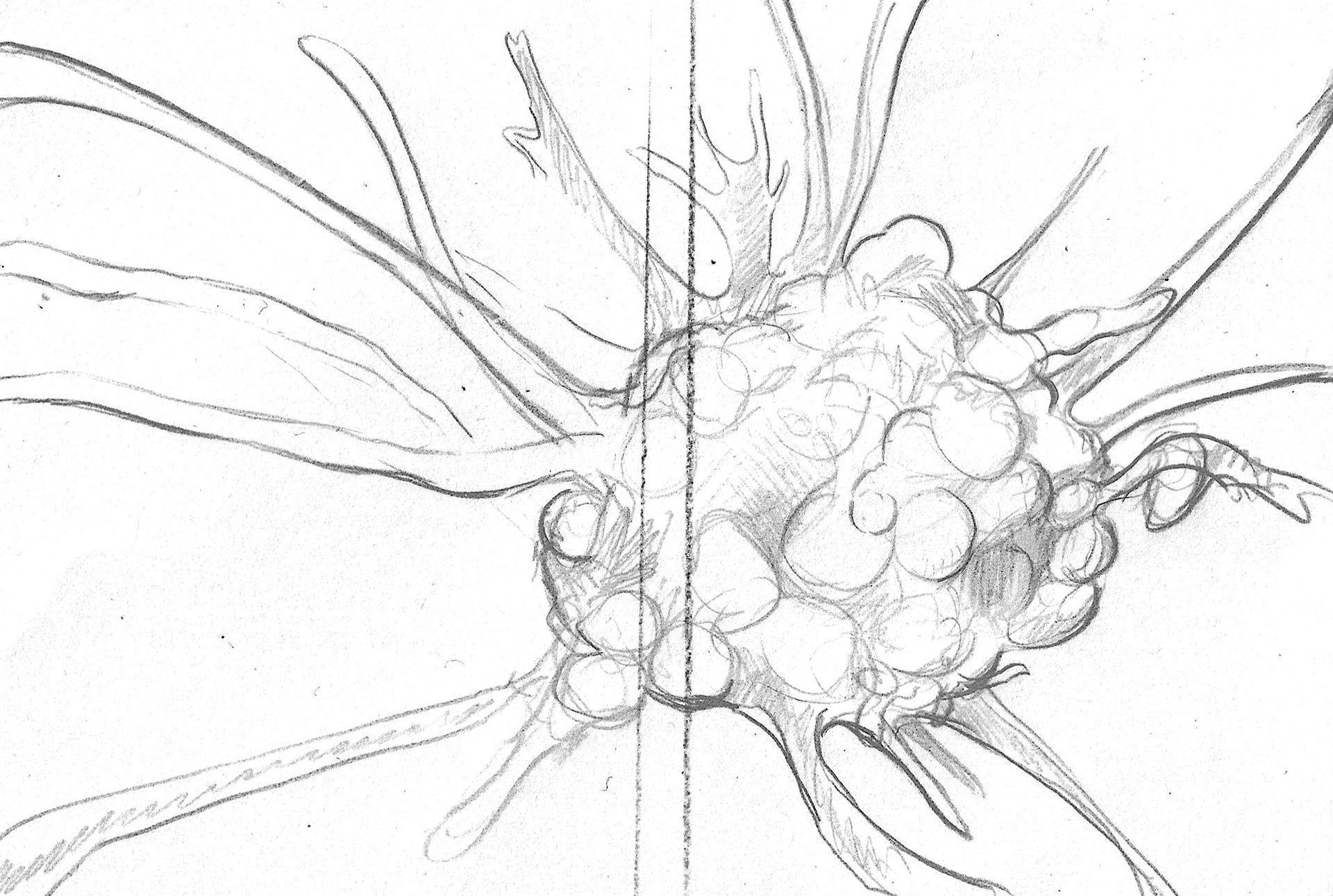 The initial graphite sketch for the book cover.