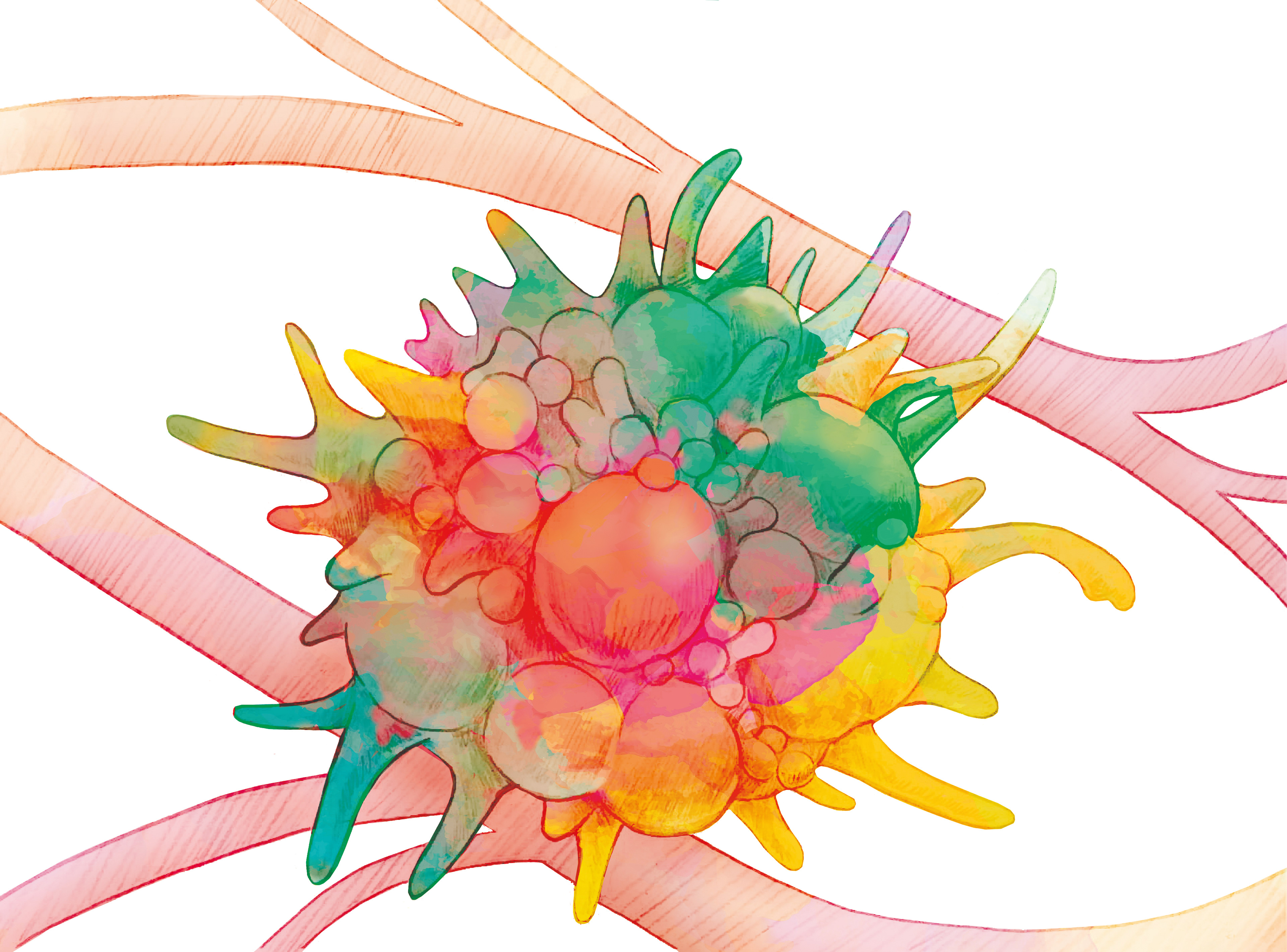 This first version of the illustration was coloured digitally.