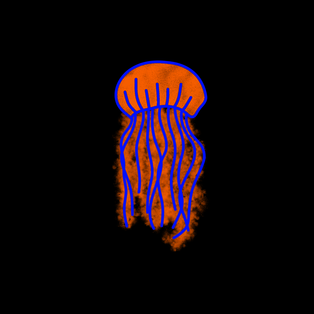 jellyfish
