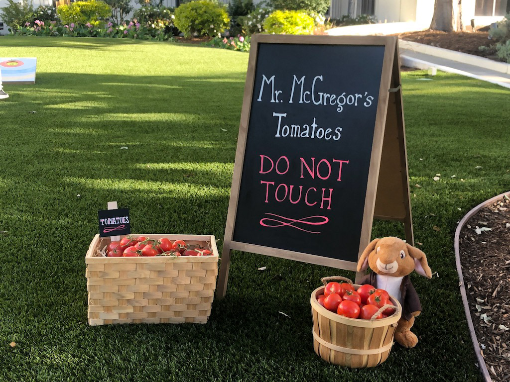 Peter Rabbit 2 x GoldieBlox | Hand-lettering & Set-dressing: I hand-lettered this board and dressed the set.