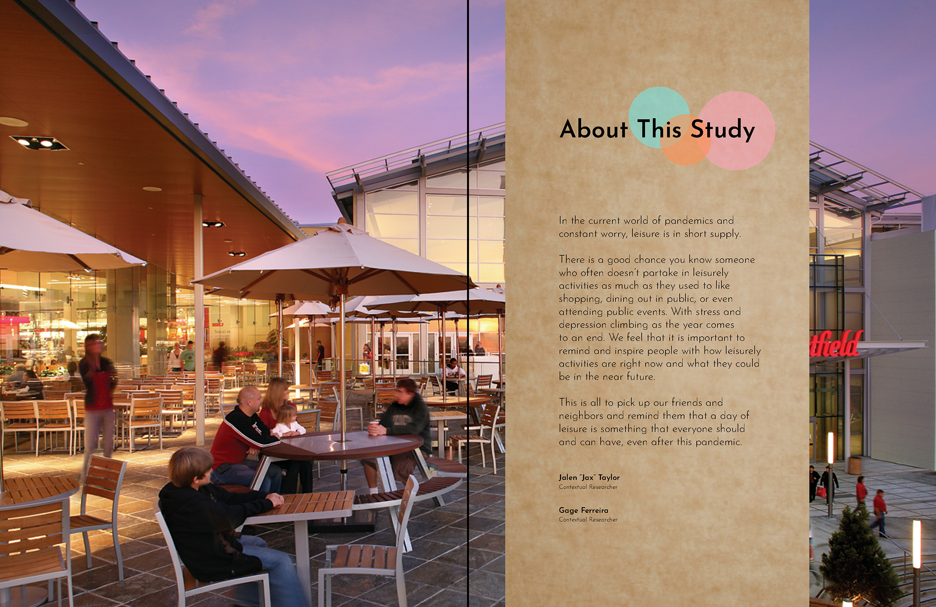 The Ideal Experience of Leisure: About the Study