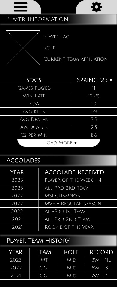 Player Info Wireframe