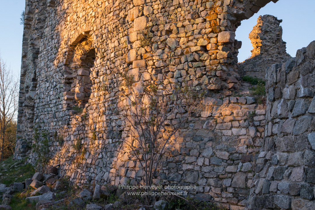 Château des cornes d'Urfé