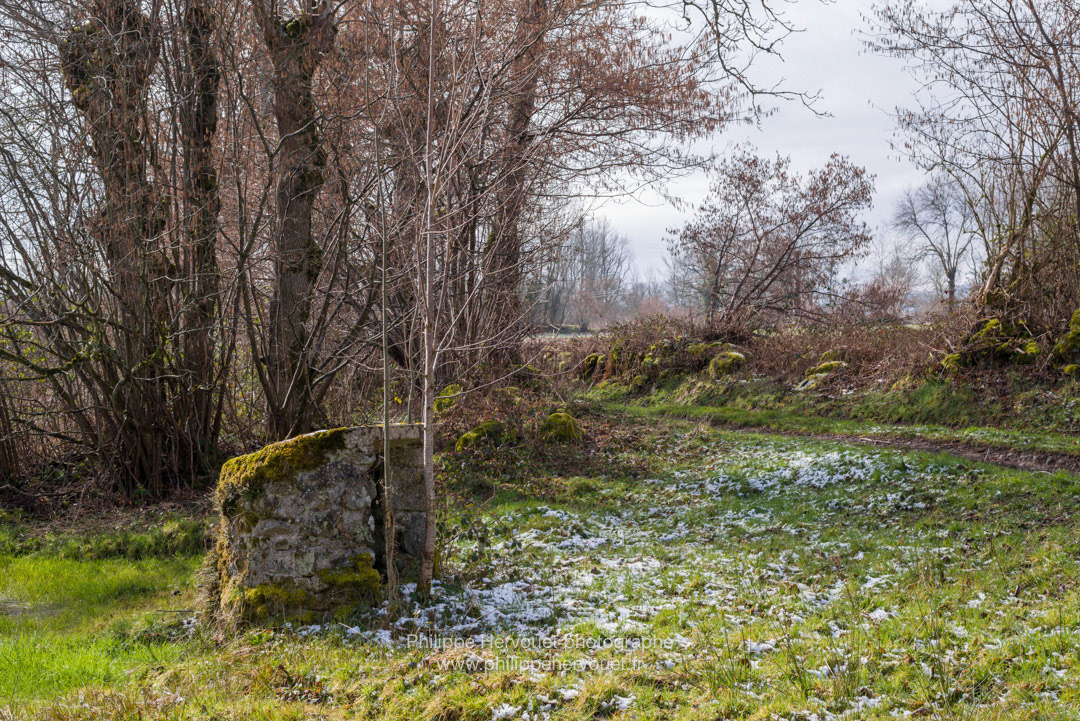 Montjonin