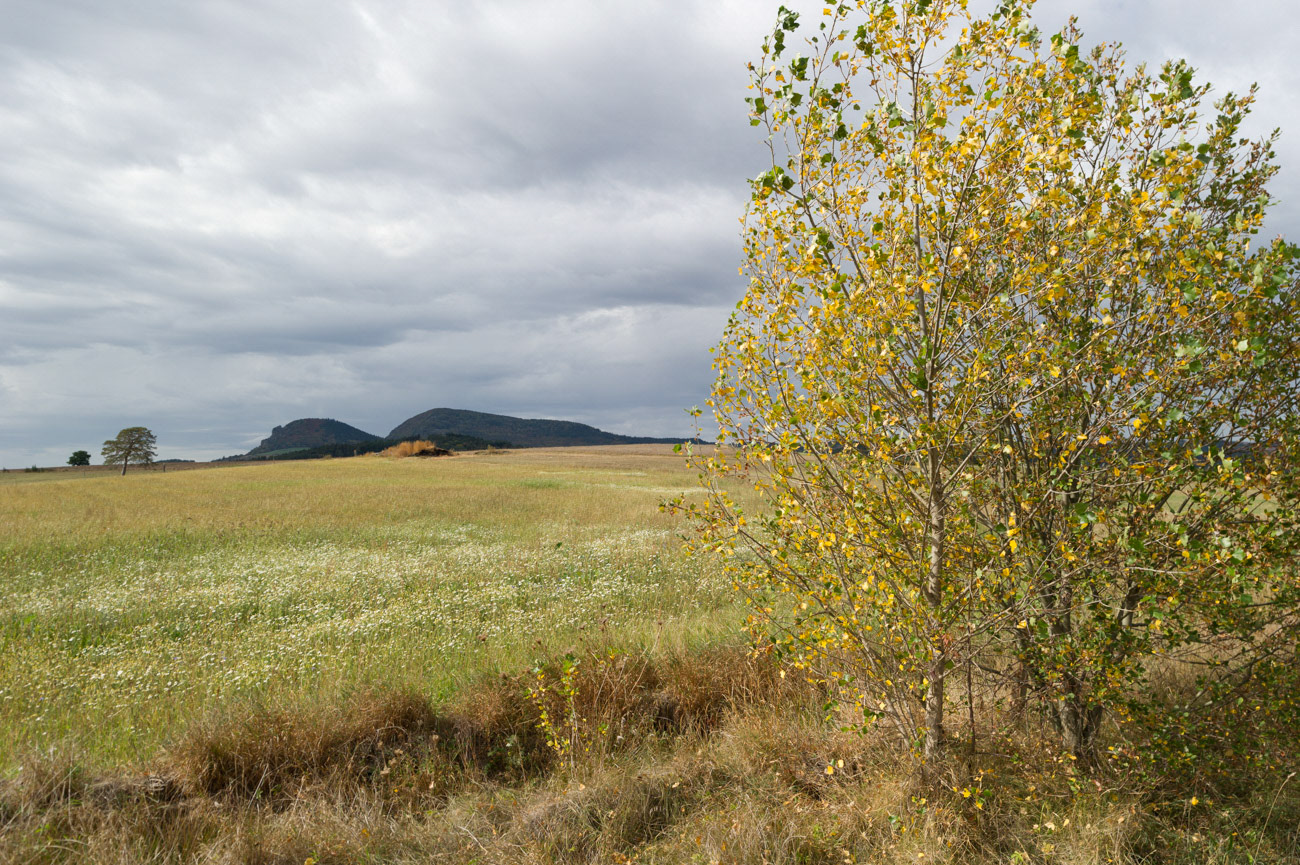 Retournac ( Haute Loire )