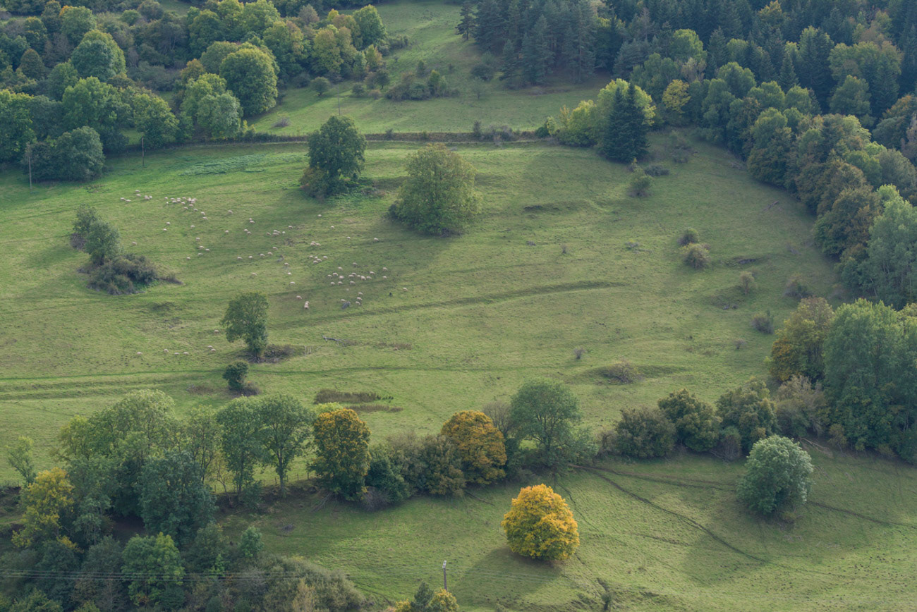 Le Monastier sur Gazeille ( Haute Loire )