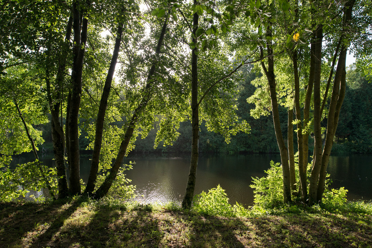 Gartempe, Montmorillon ( Vienne )