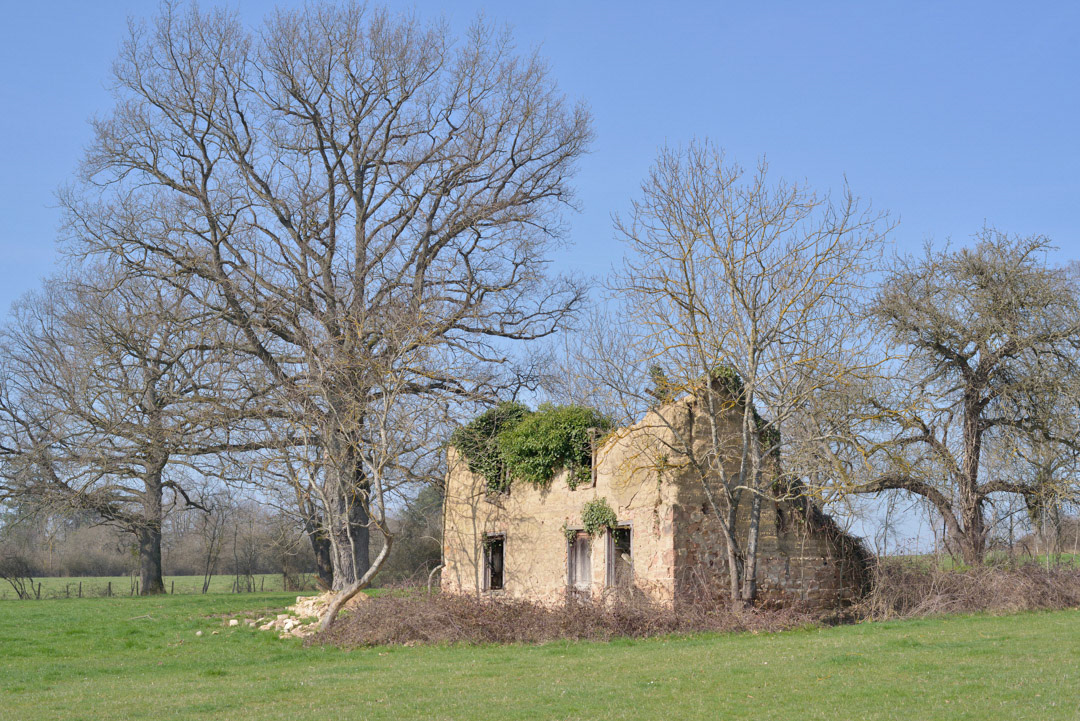 Le Poirier