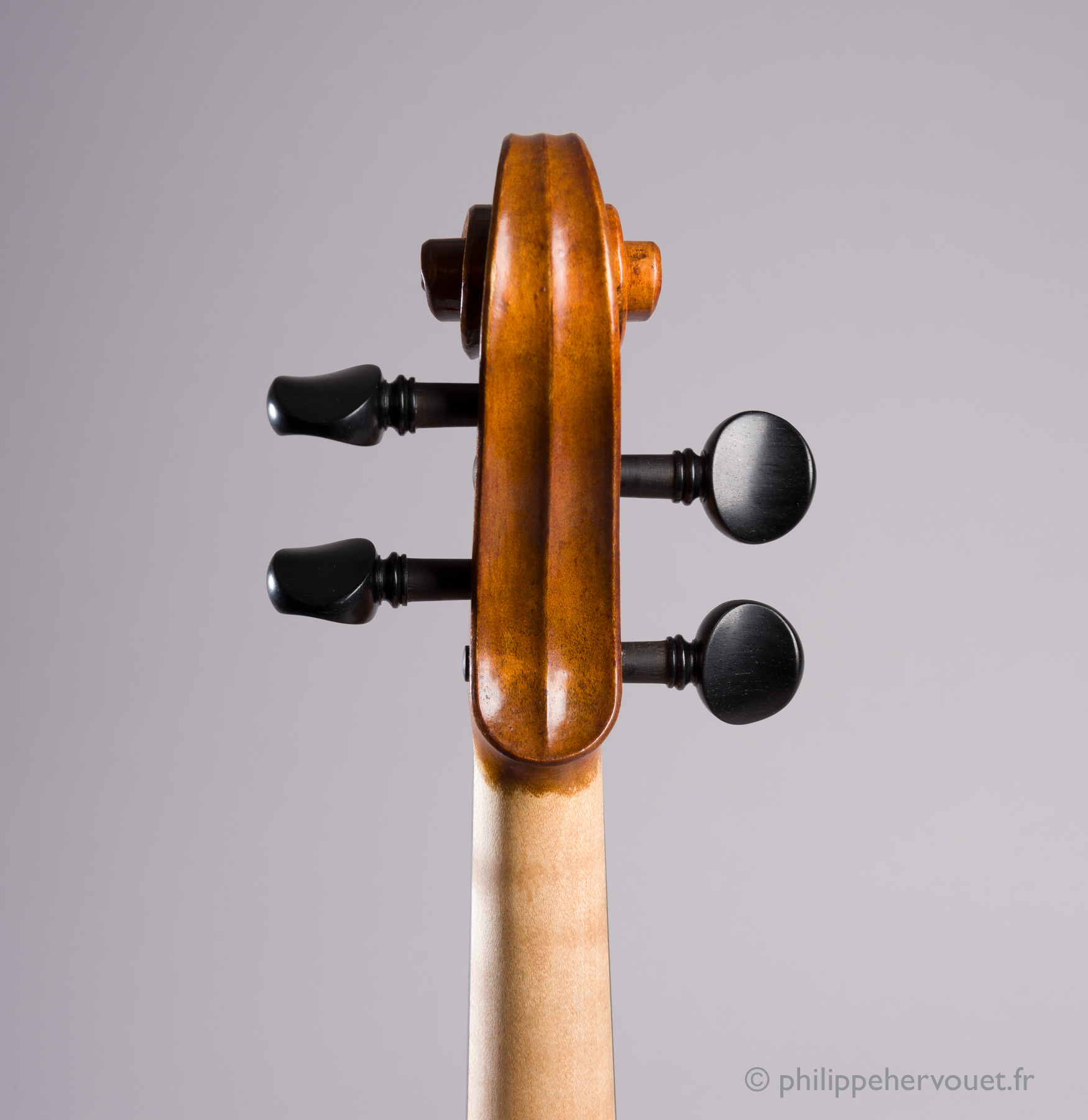 Violon, Luthière Amandine Hervouet