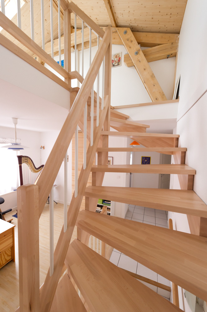 Charpente Martigniat, Saint Etienne