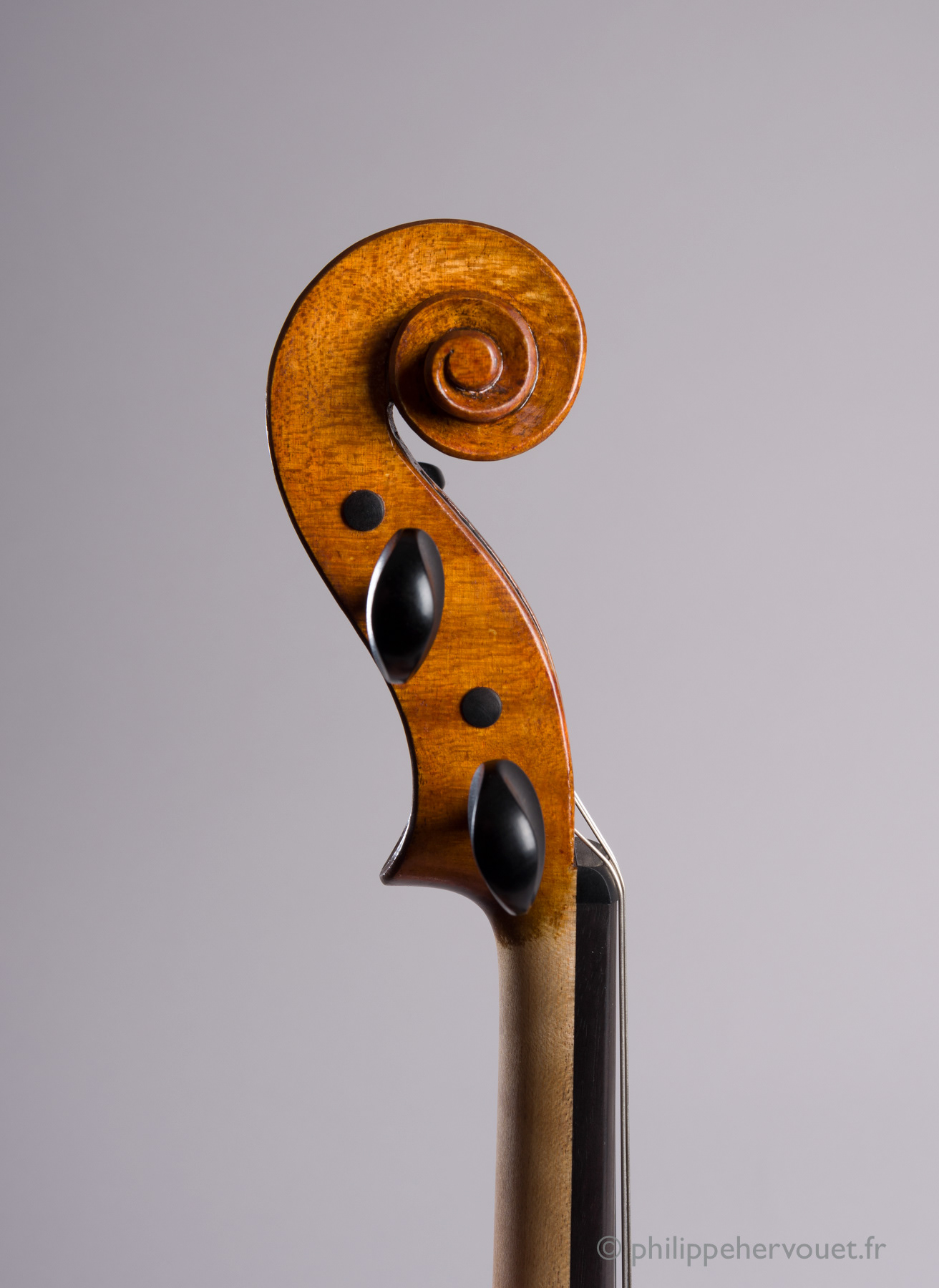 Violon, Luthière Amandine Hervouet