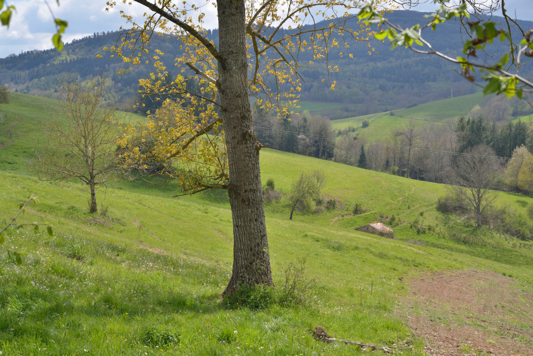St Just en Chevalet