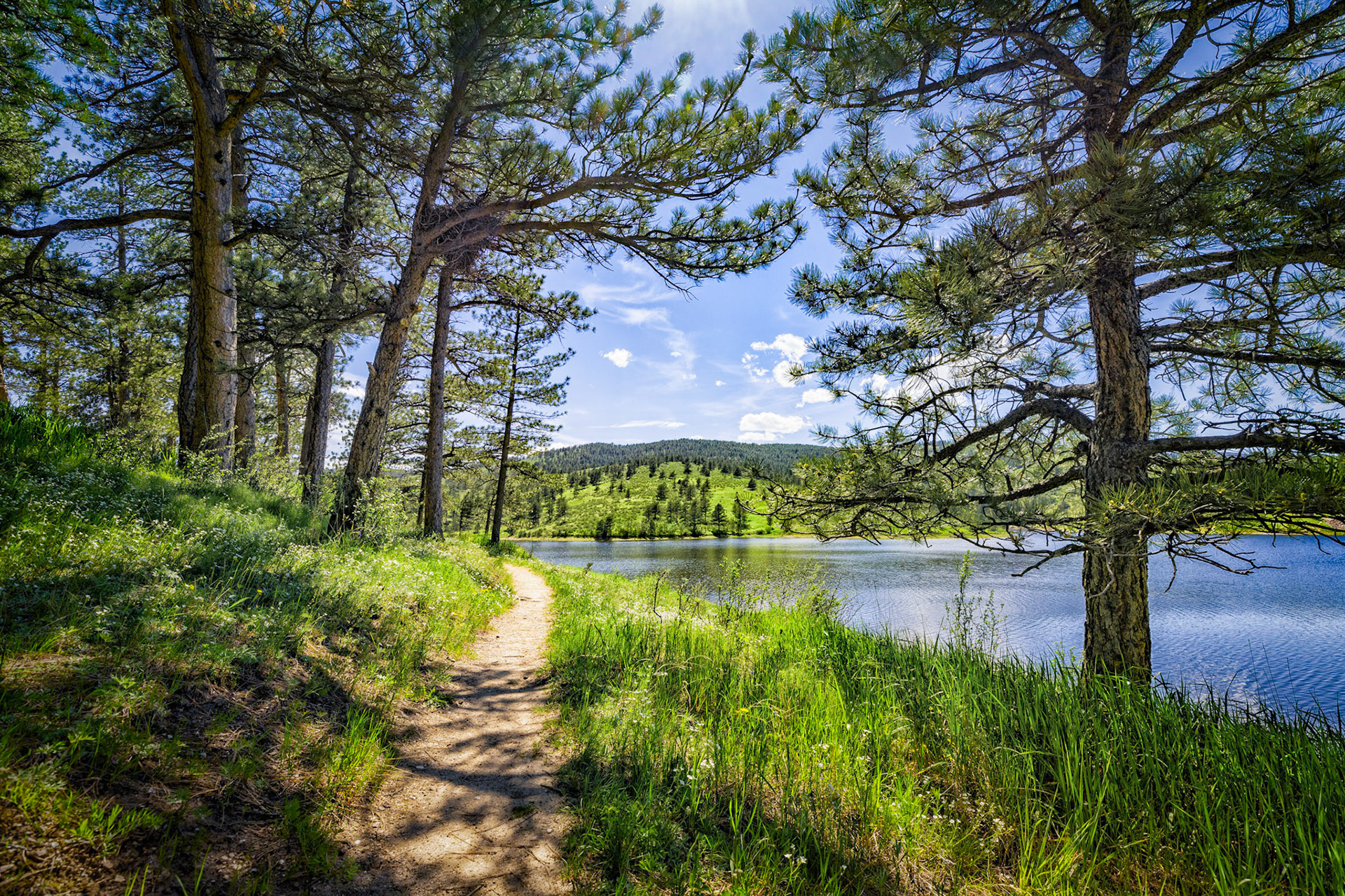 "Summertime" (Pinewood Reservoir, Larimer County, CO)