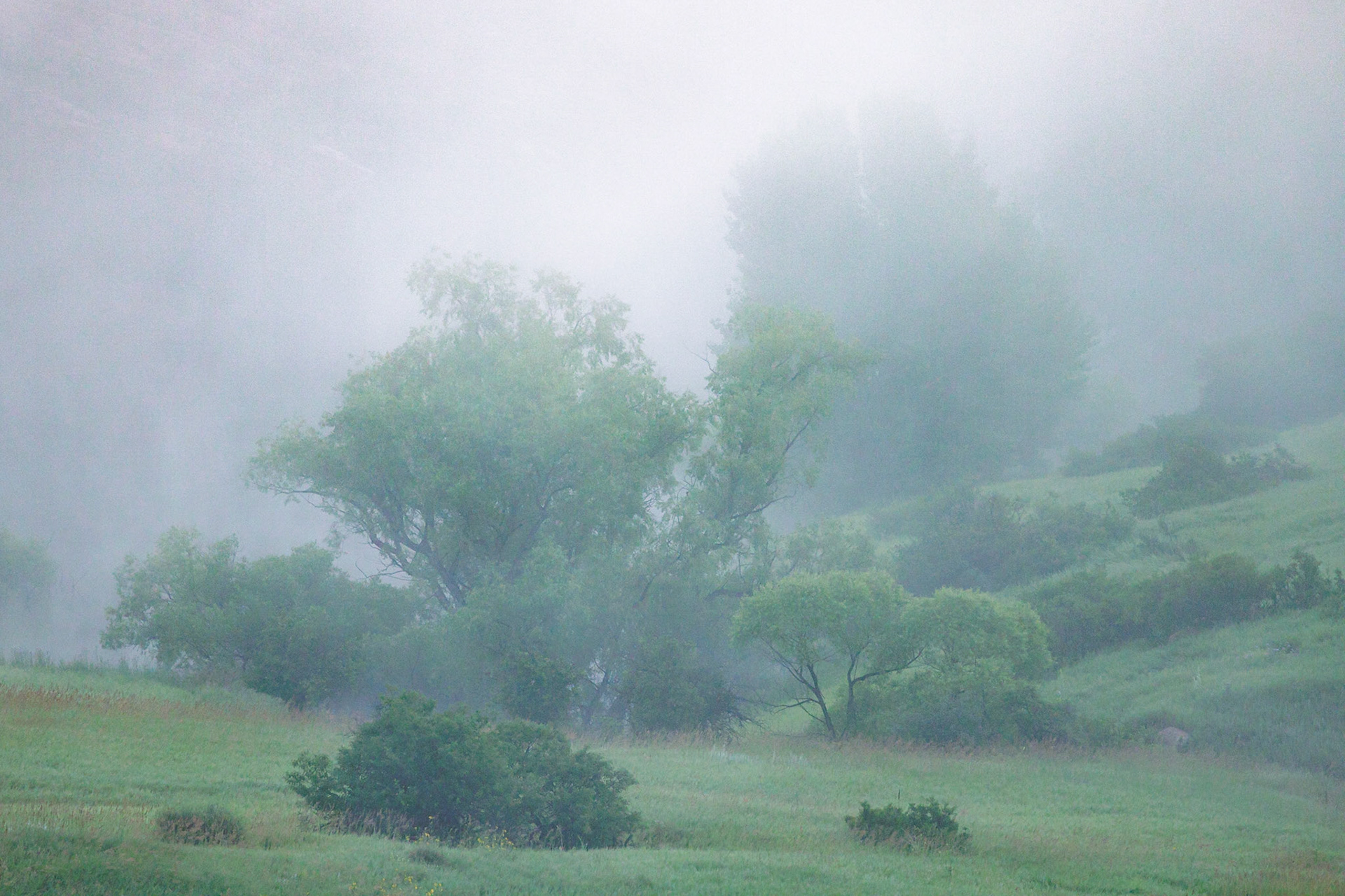 "A Rare Misty Morning" (Horsetooth Reservoir, Larimer County, CO)