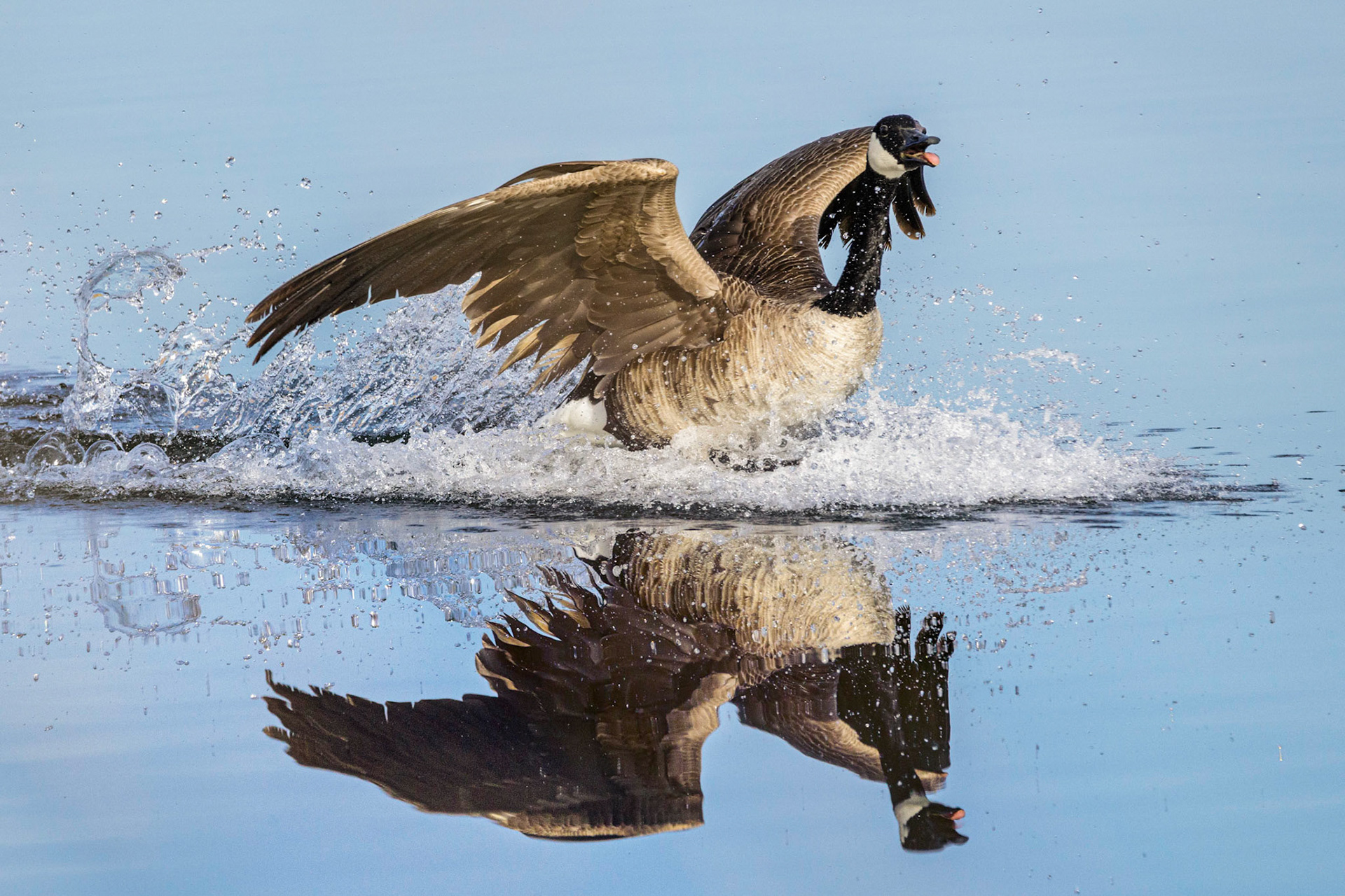Soft Landing