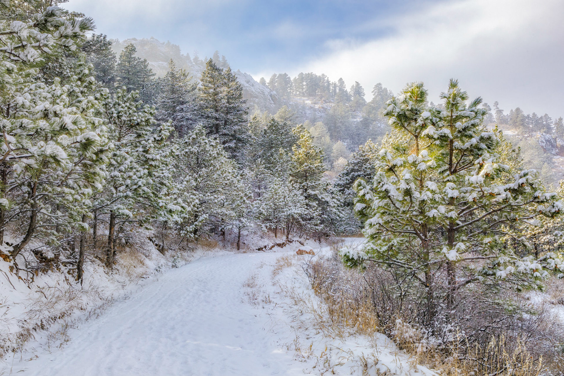 "Let the Light Shine" (Towers Road, Horsetooth Mountain Open Space, Larimer County, CO)